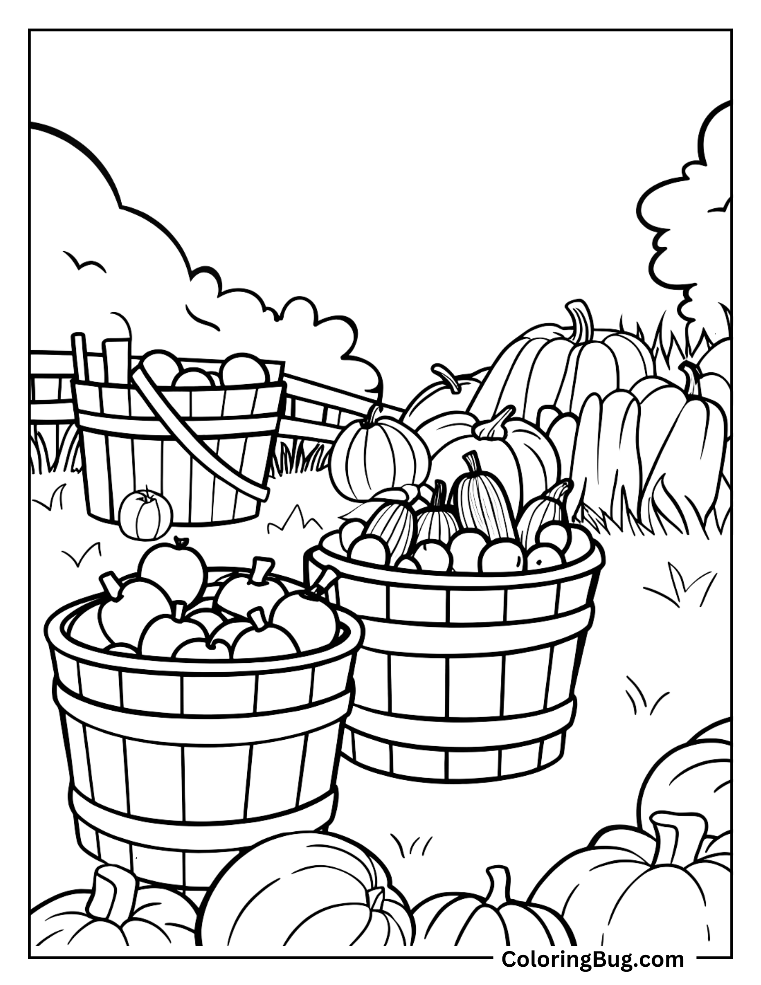 Harvest Scene With Vegetables Being Picked And Placed Into Basket Coloring Sheet