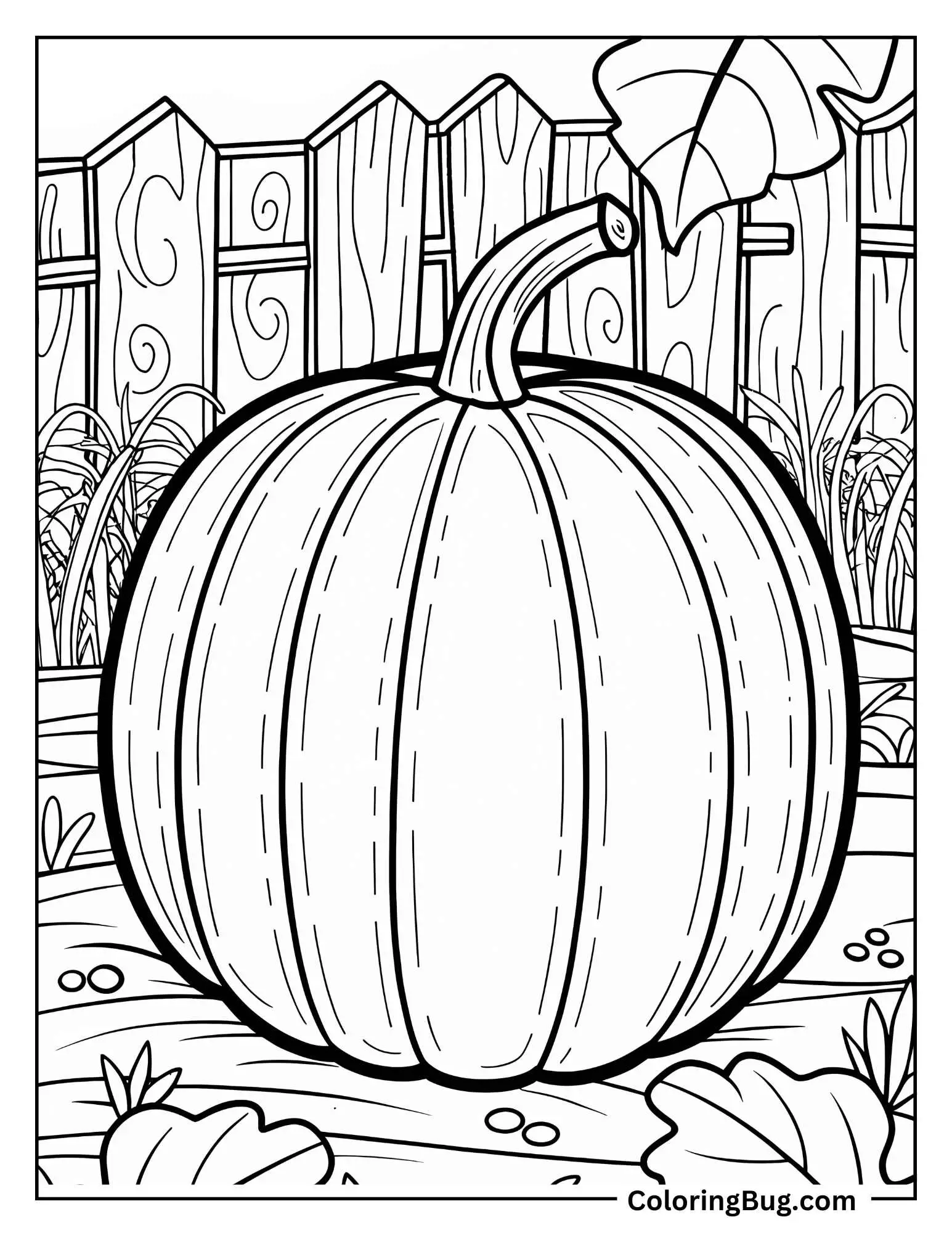 Large Pumpkin With Deep Grooves Coloring Sheet