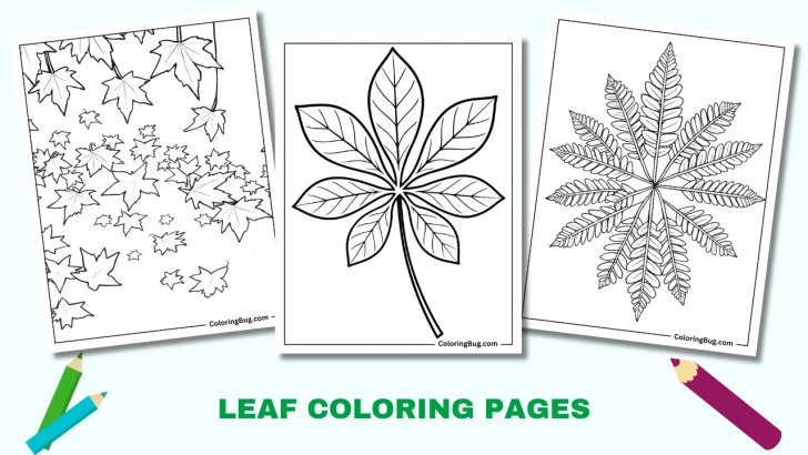 Leaf Coloring Pages