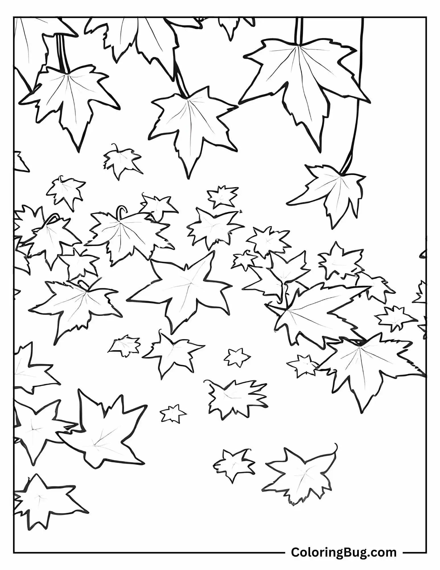 Leaves Fallen Of a Tree During Autumn coloring Sheet
