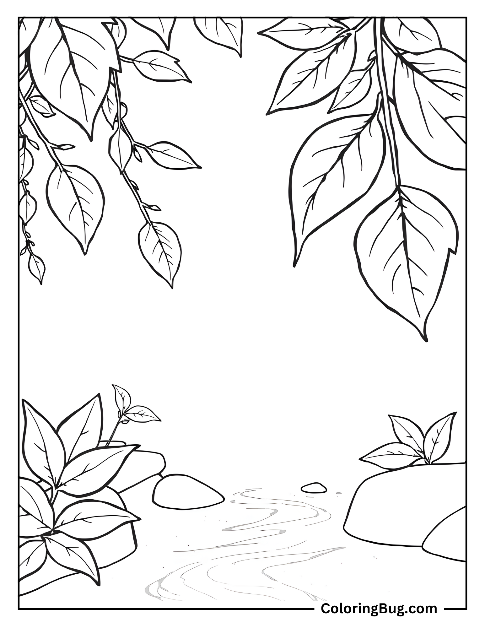 Leaves Floating Over River Coloring Sheet