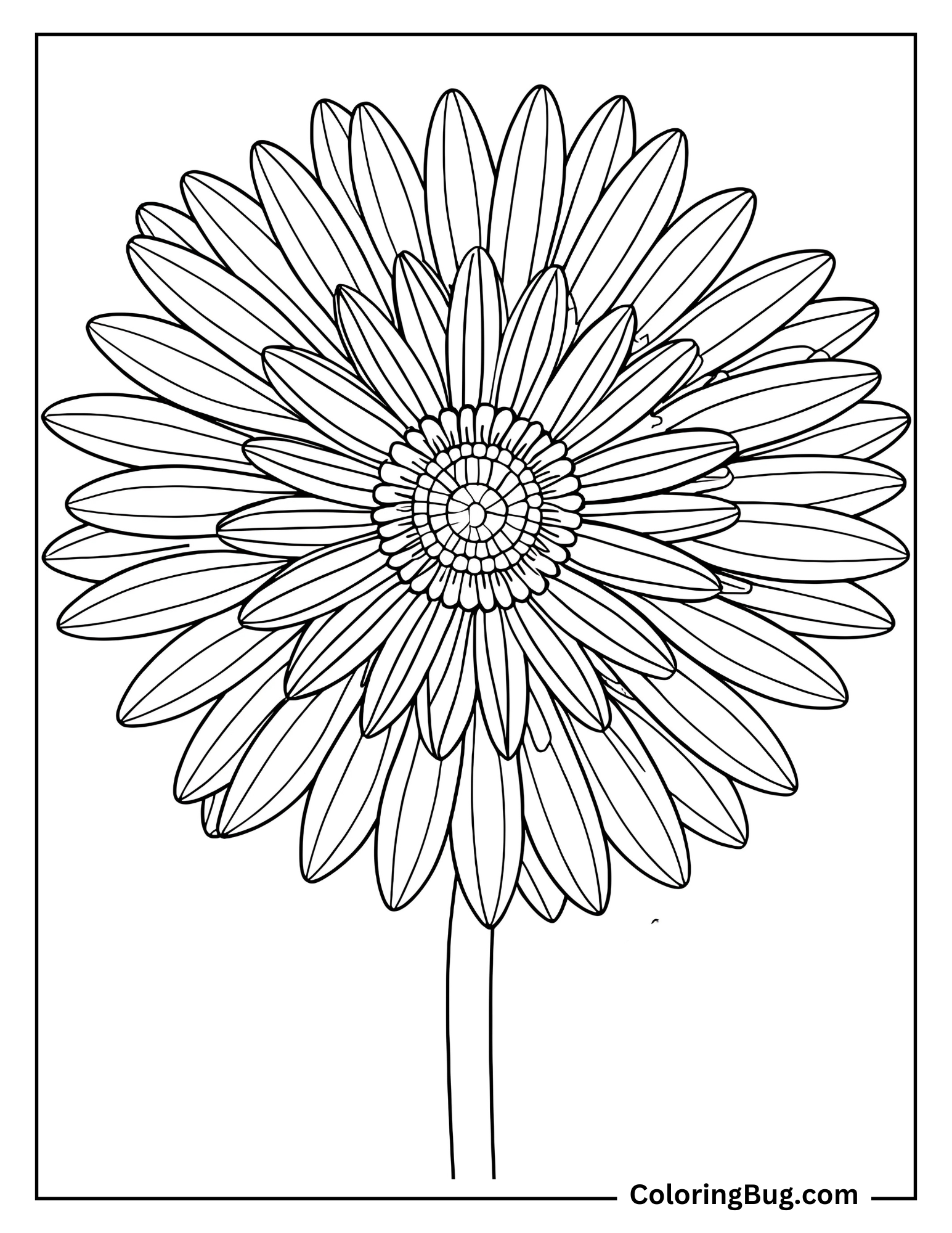 Mandala Sunflowers Coloring Sheet
