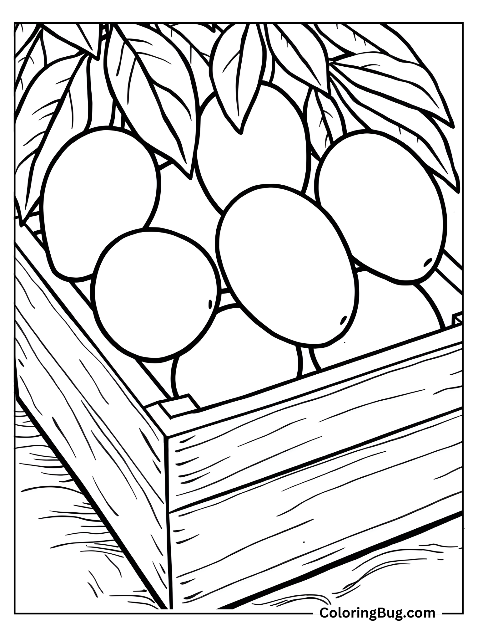 Mangoes In Wooden Crate Coloring Sheet