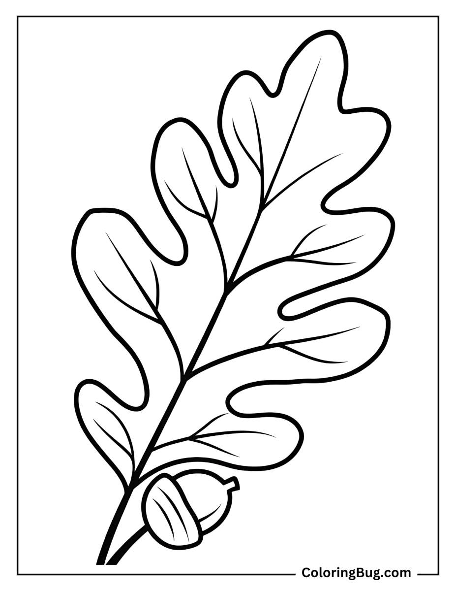 Leaf Color Book 40 Leaf Coloring Pages (Free Printable PDFs)