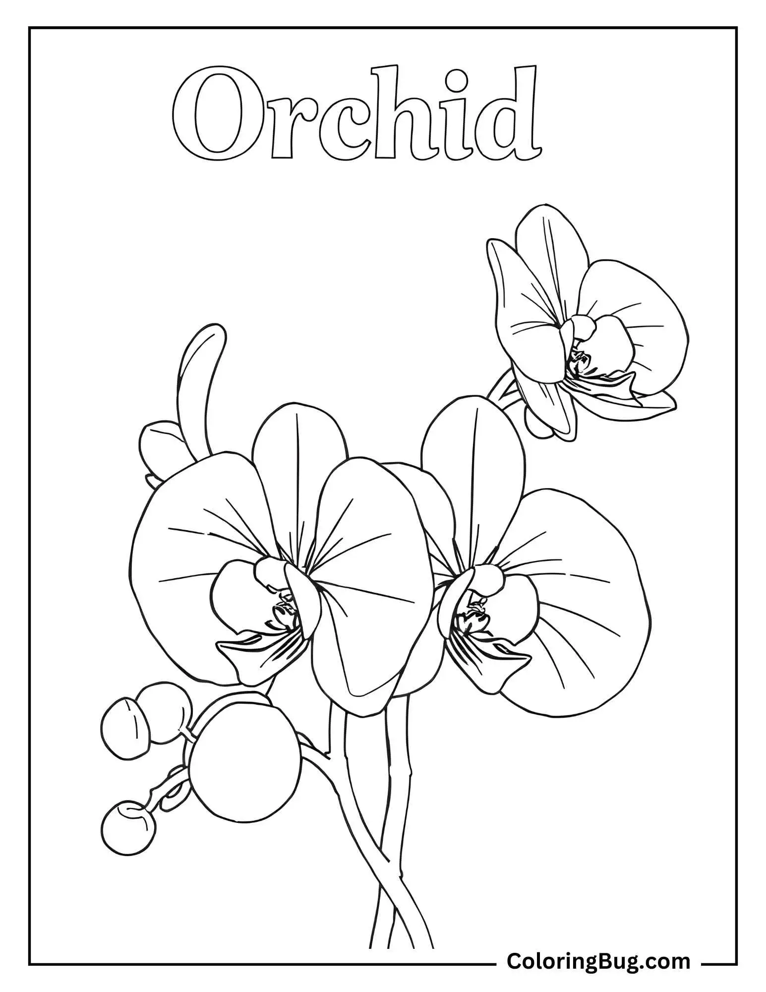 Orchid Spelling coloring sheet