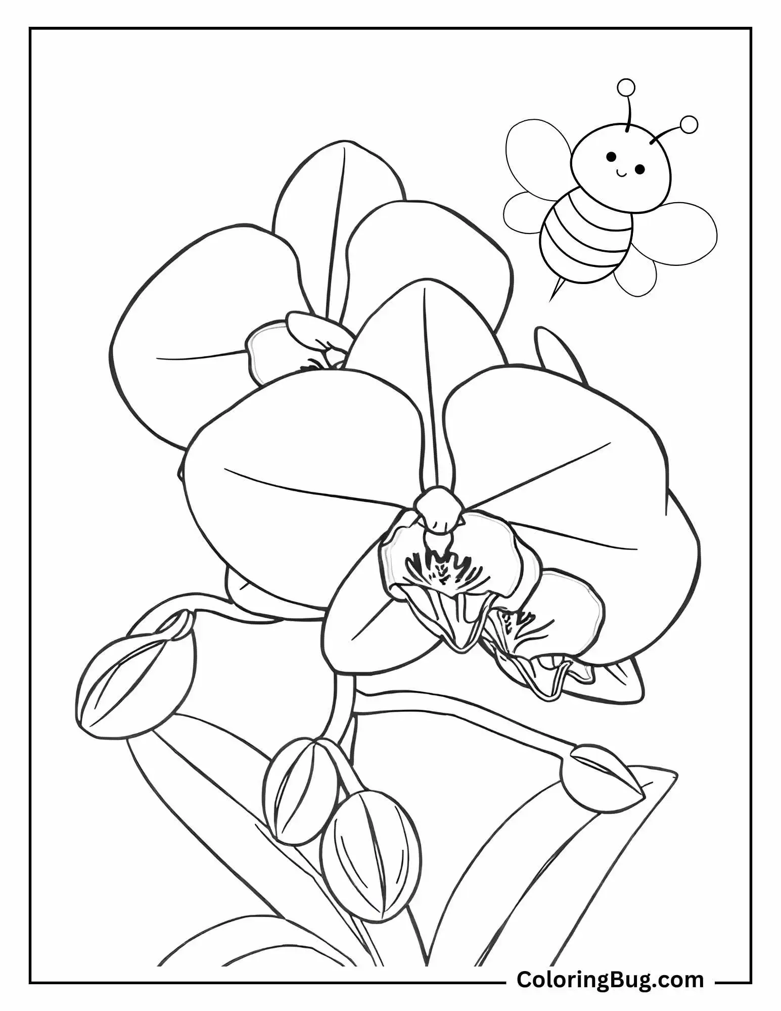 Orchid With a Bee Flying Nearby Coloring sheet