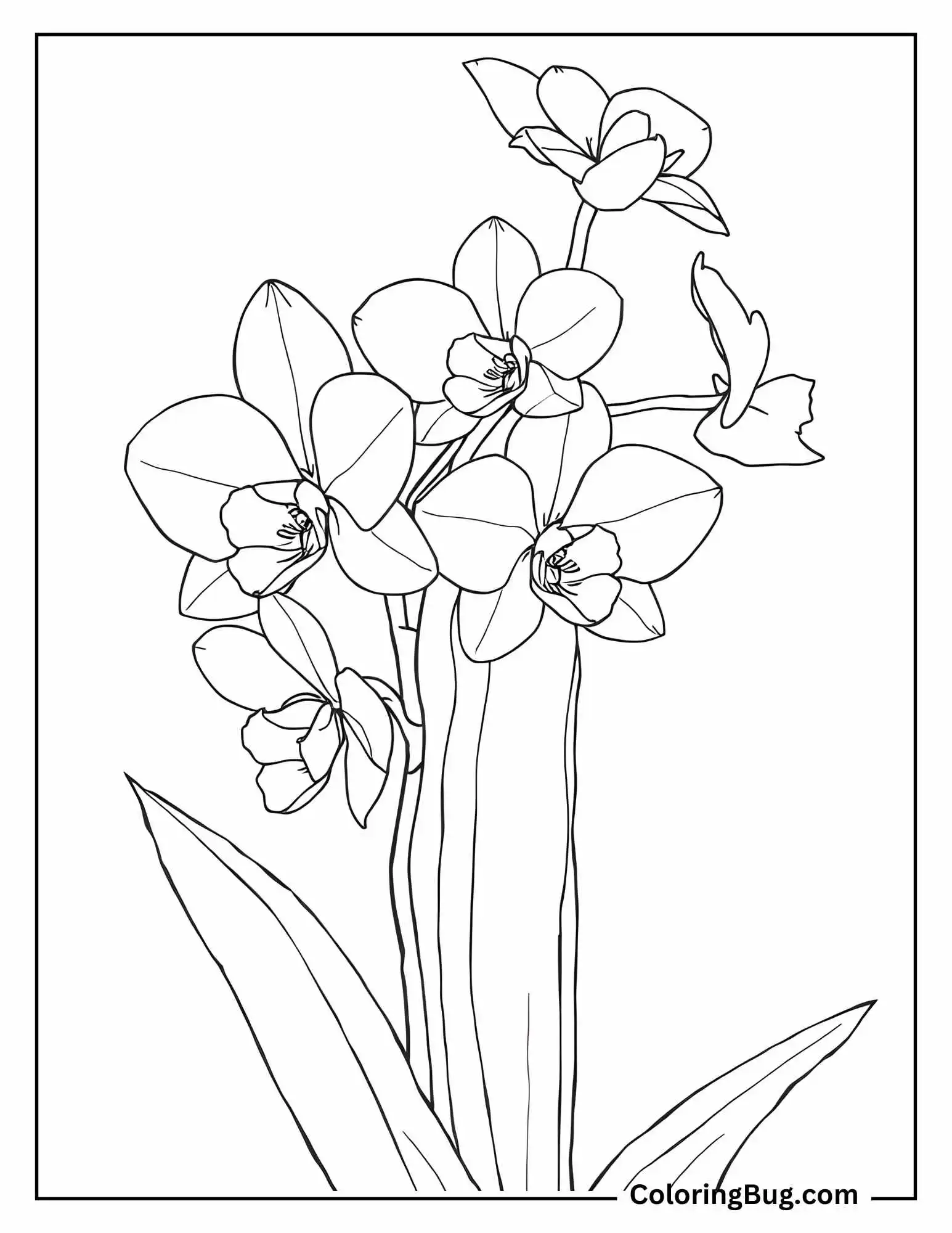 Orchids Blooming on Tall Cactus coloring sheet