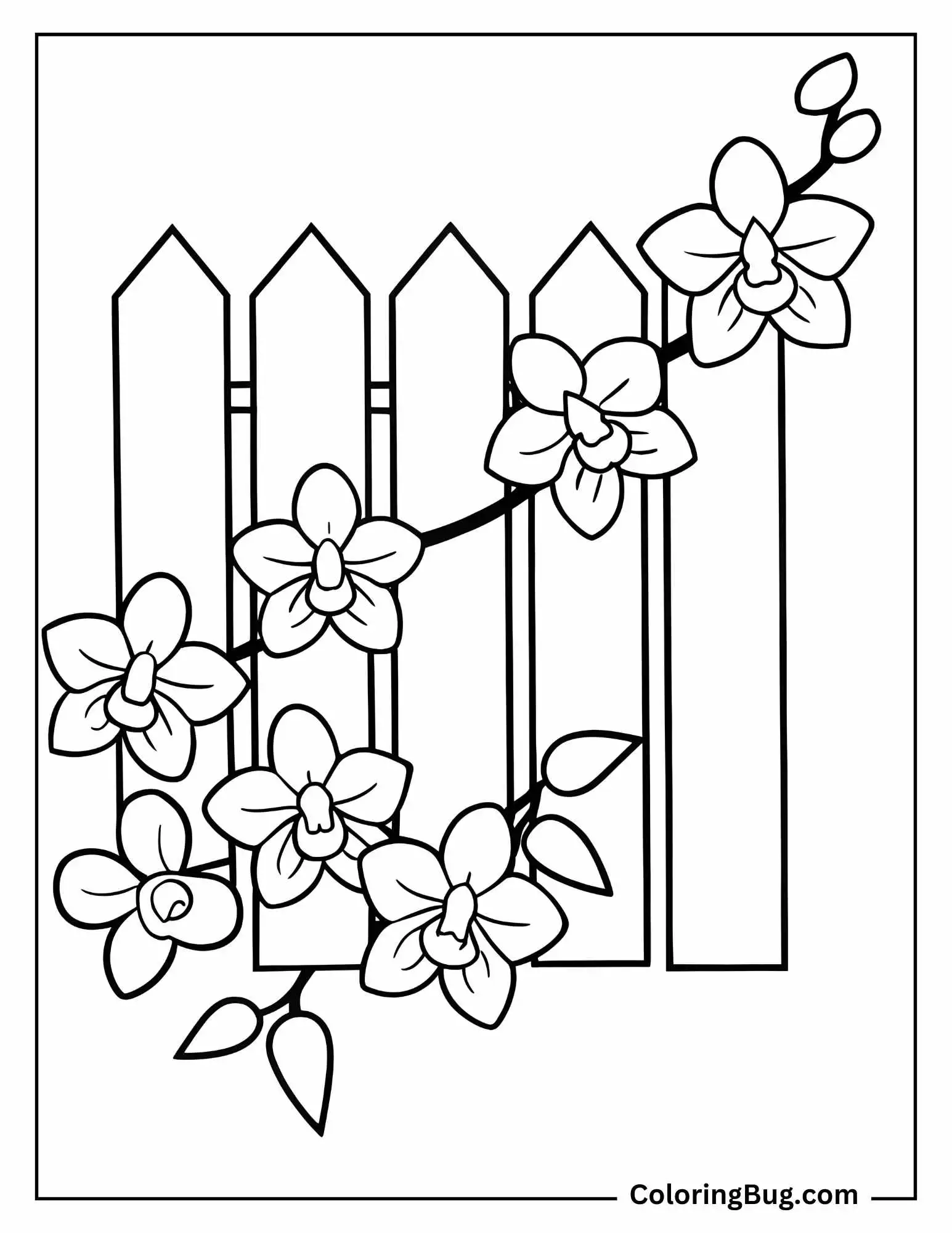 Orchids Growing Near Fence coloring sheet