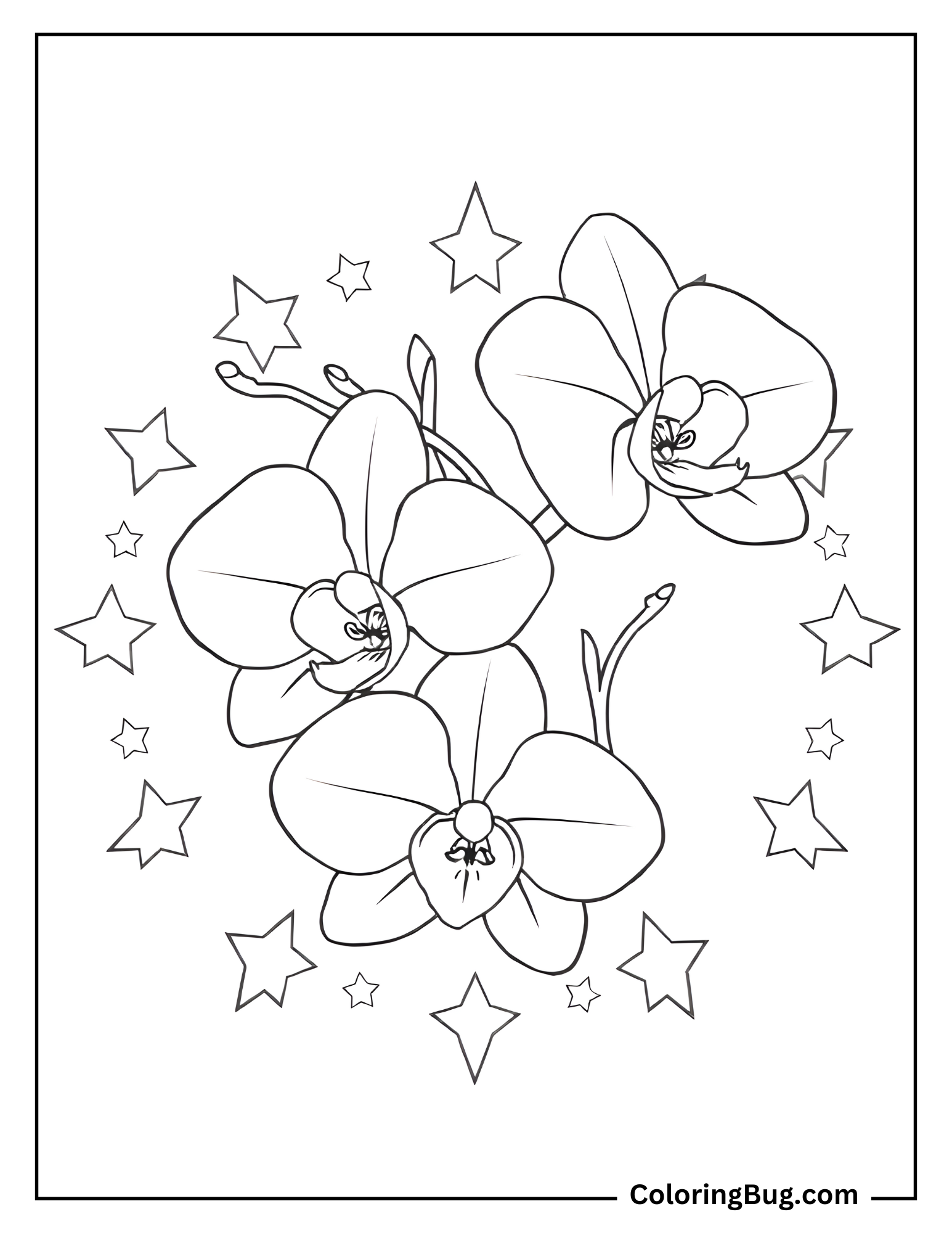 Orchids With Stars Ring Coloring Sheet