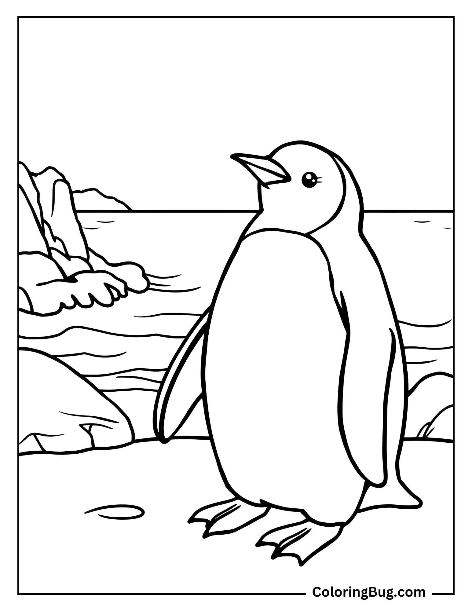 42 Ocean Coloring Pages (Free Printable PDFs)