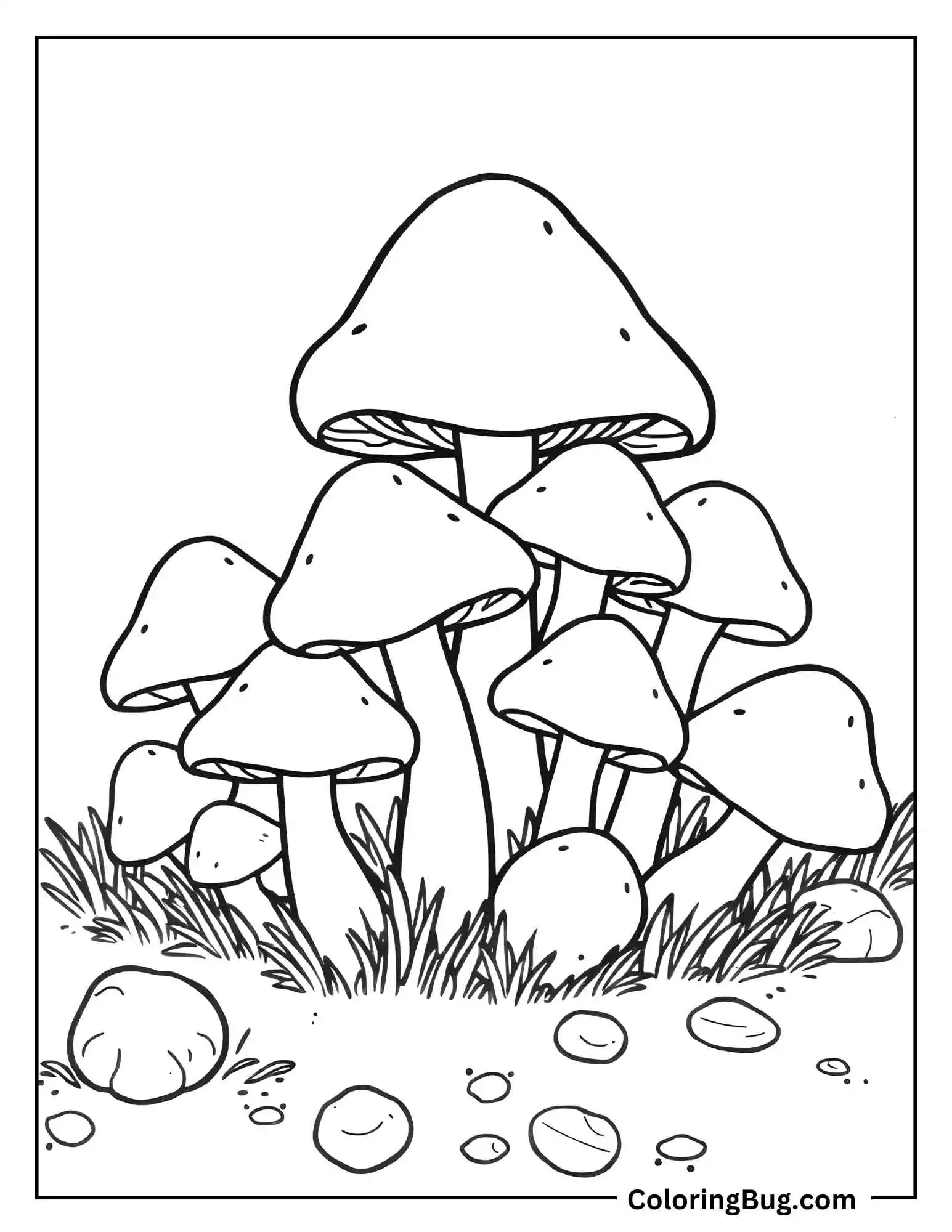 Pile Of Mushrooms With Rounded Caps Coloring Sheet