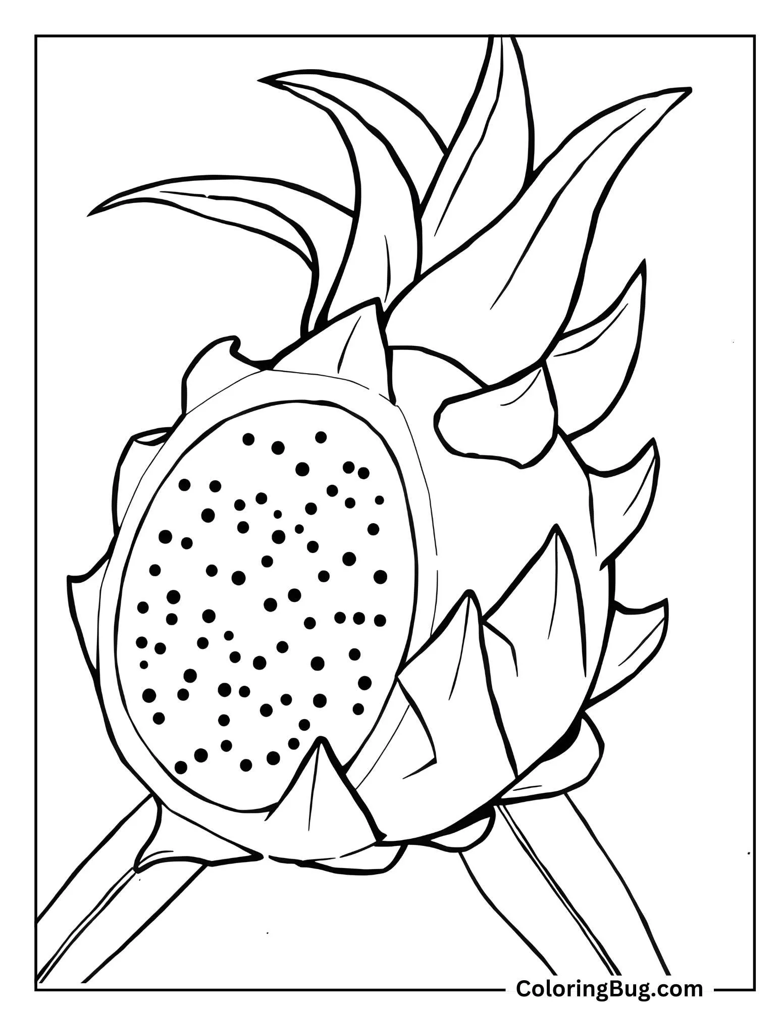 Pink Dragon Fruit Coloring Sheet