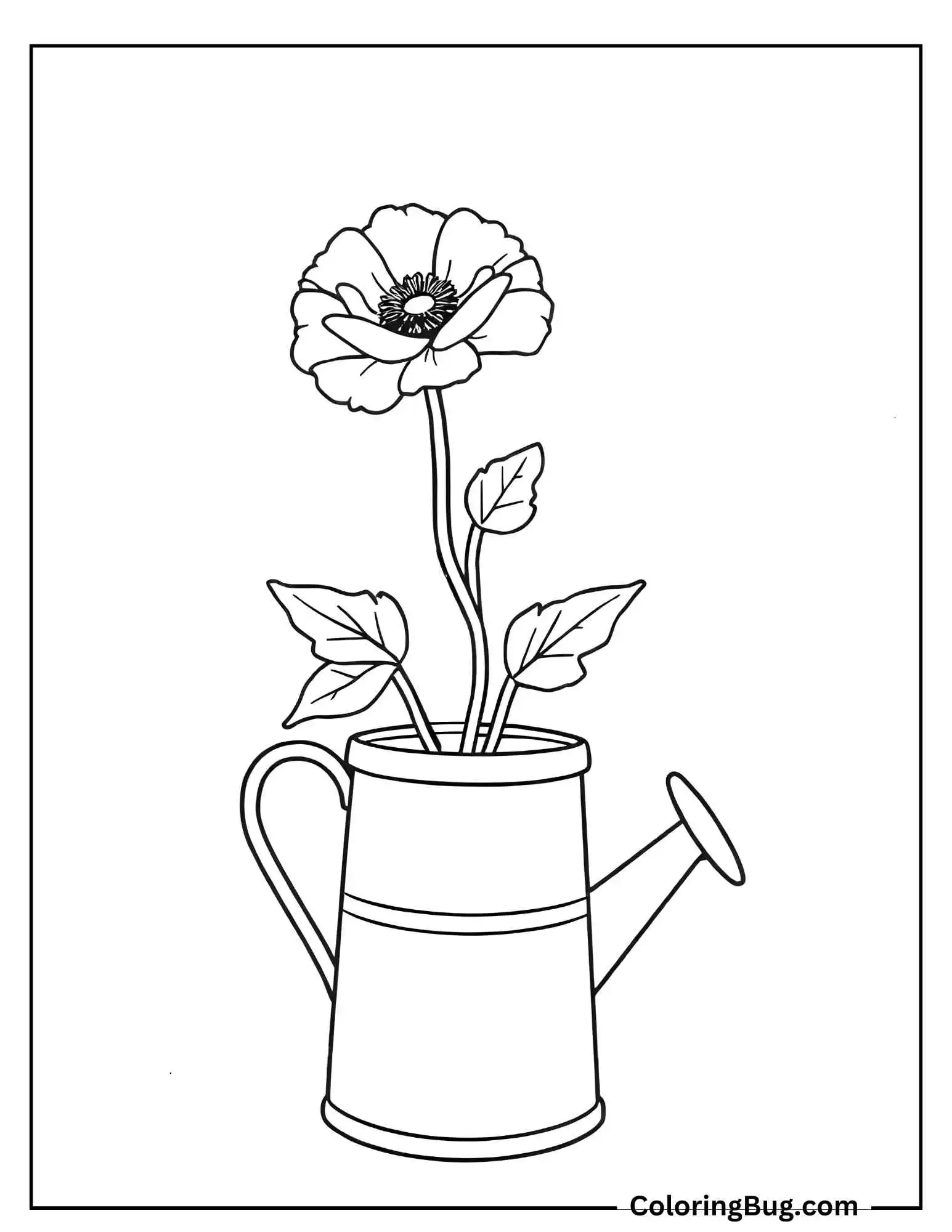 Poppy Growing Out Of Watering Can Coloring Sheet