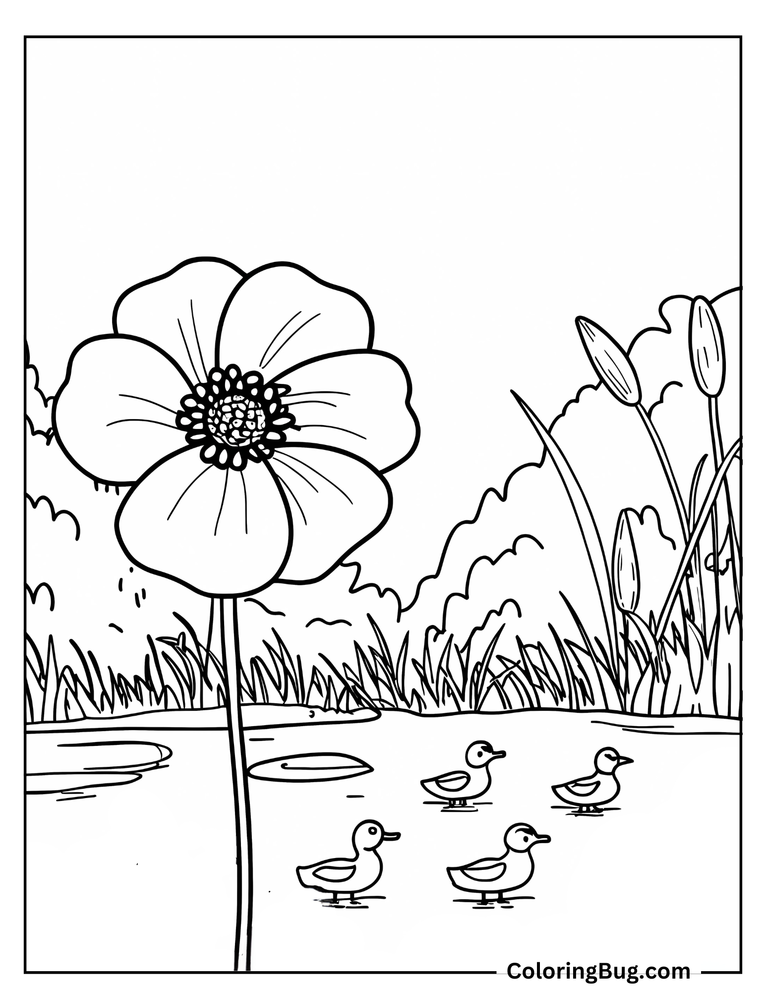 Poppy Near Small Pond With Ducks Swimming Coloring Sheet