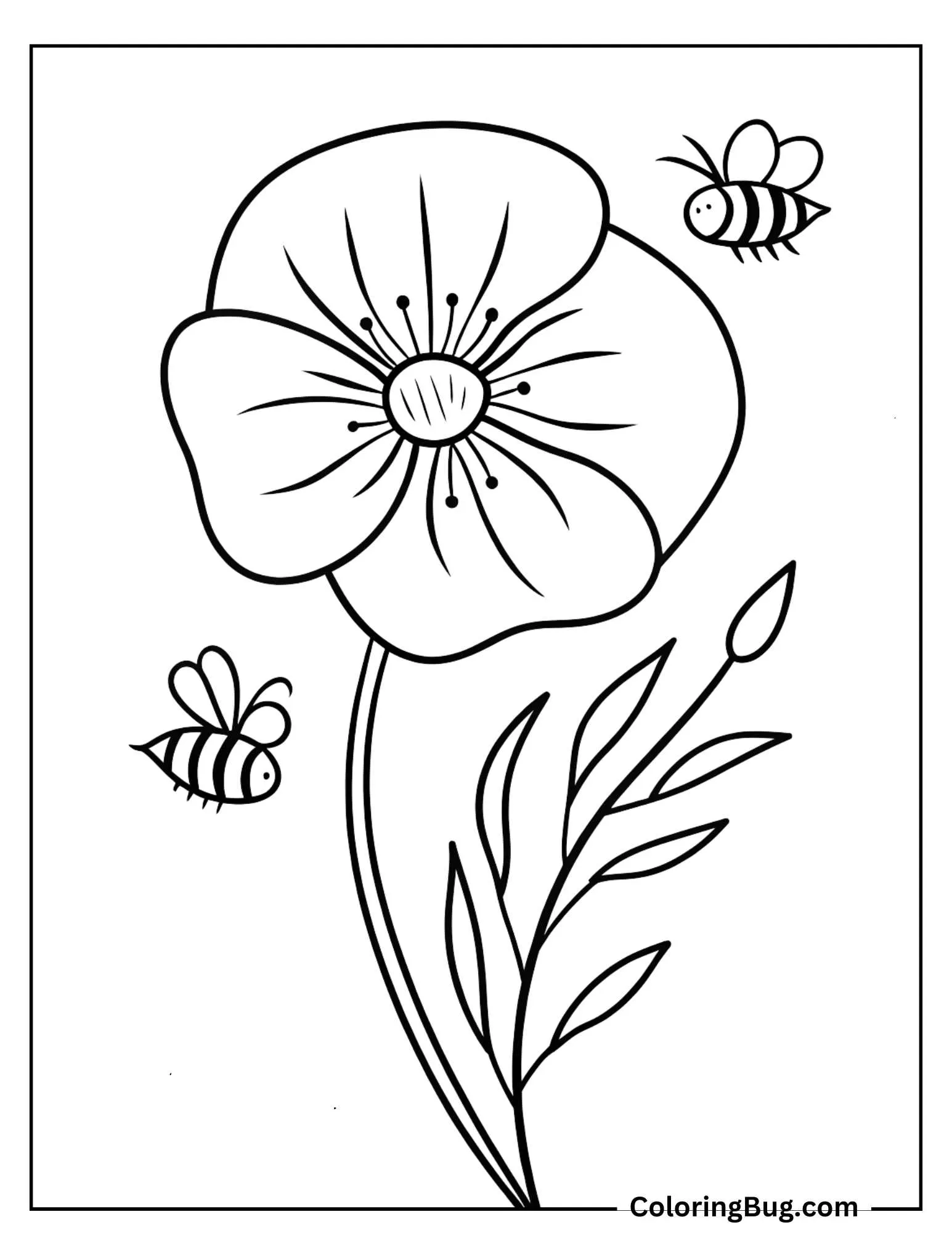 Poppy With Bees Buzzing Around Coloring Sheet