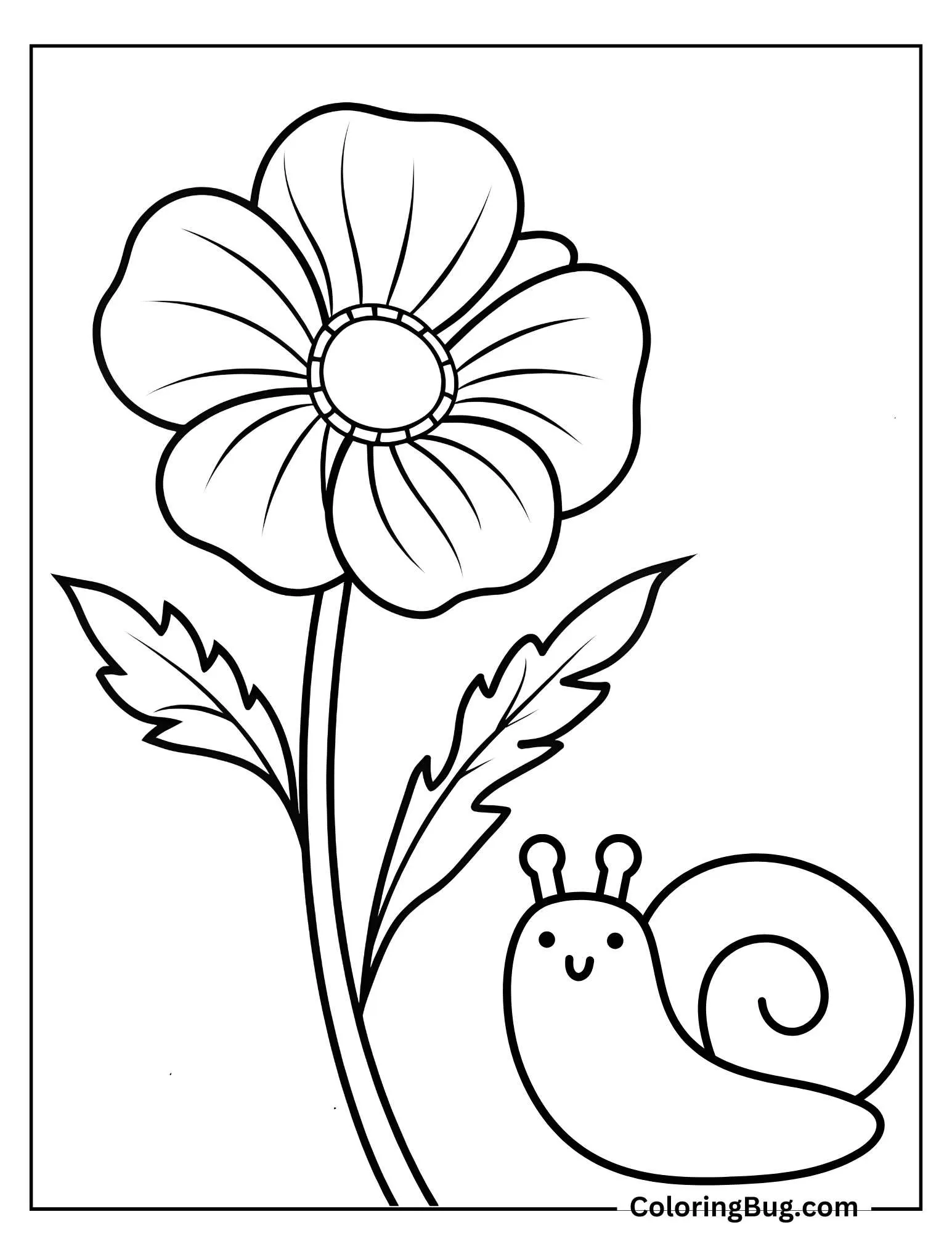 Poppy With Snail Coloring Sheet
