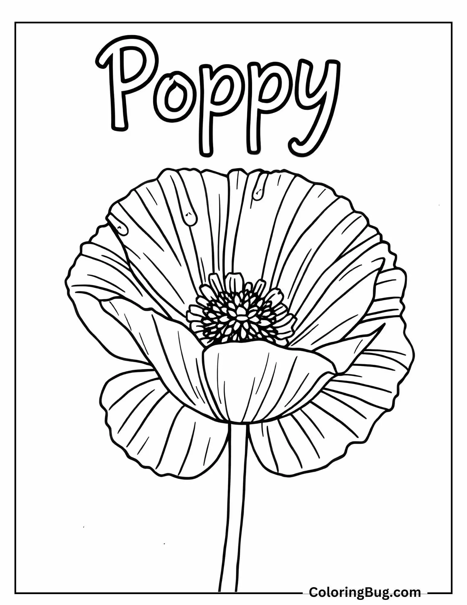 Poppy With Spelling Coloring Sheet