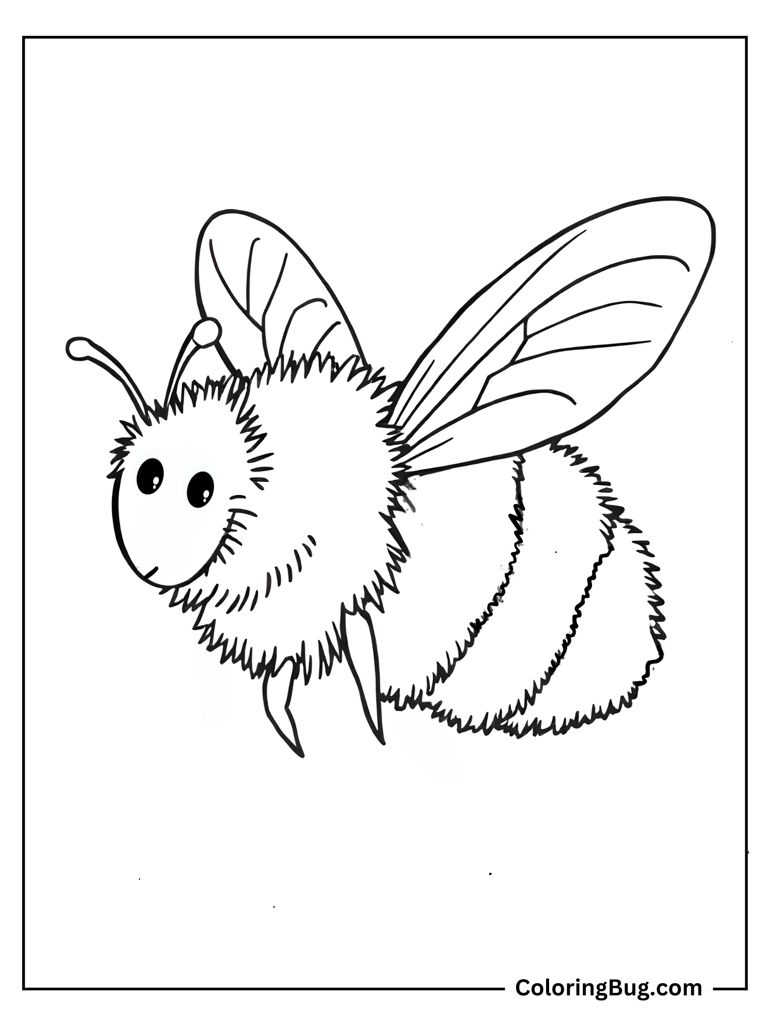 Realistic Bee Coloring Sheet