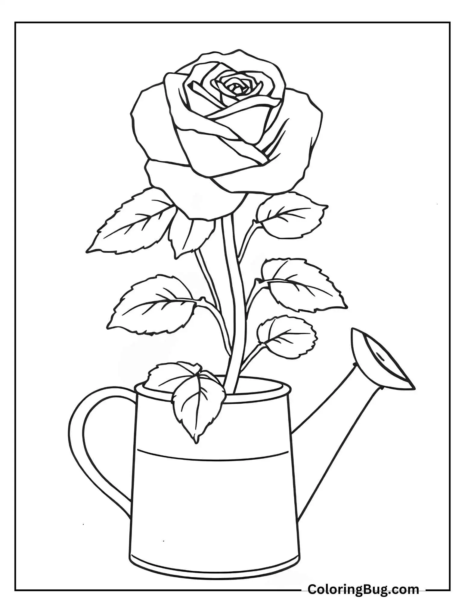 Rose Growing Out Of Watering Can Coloring Sheet