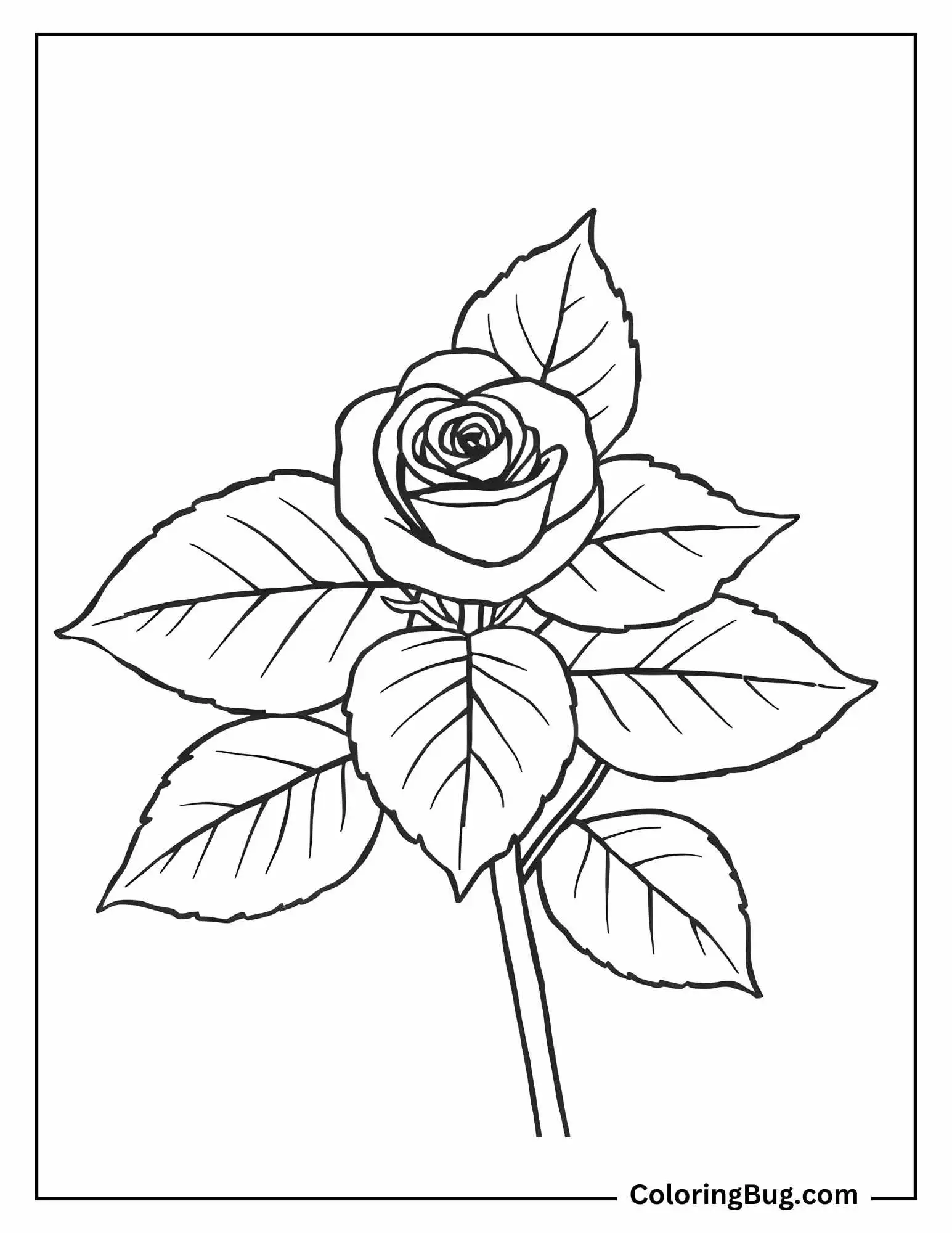 Rose Leaves Coloring Sheet