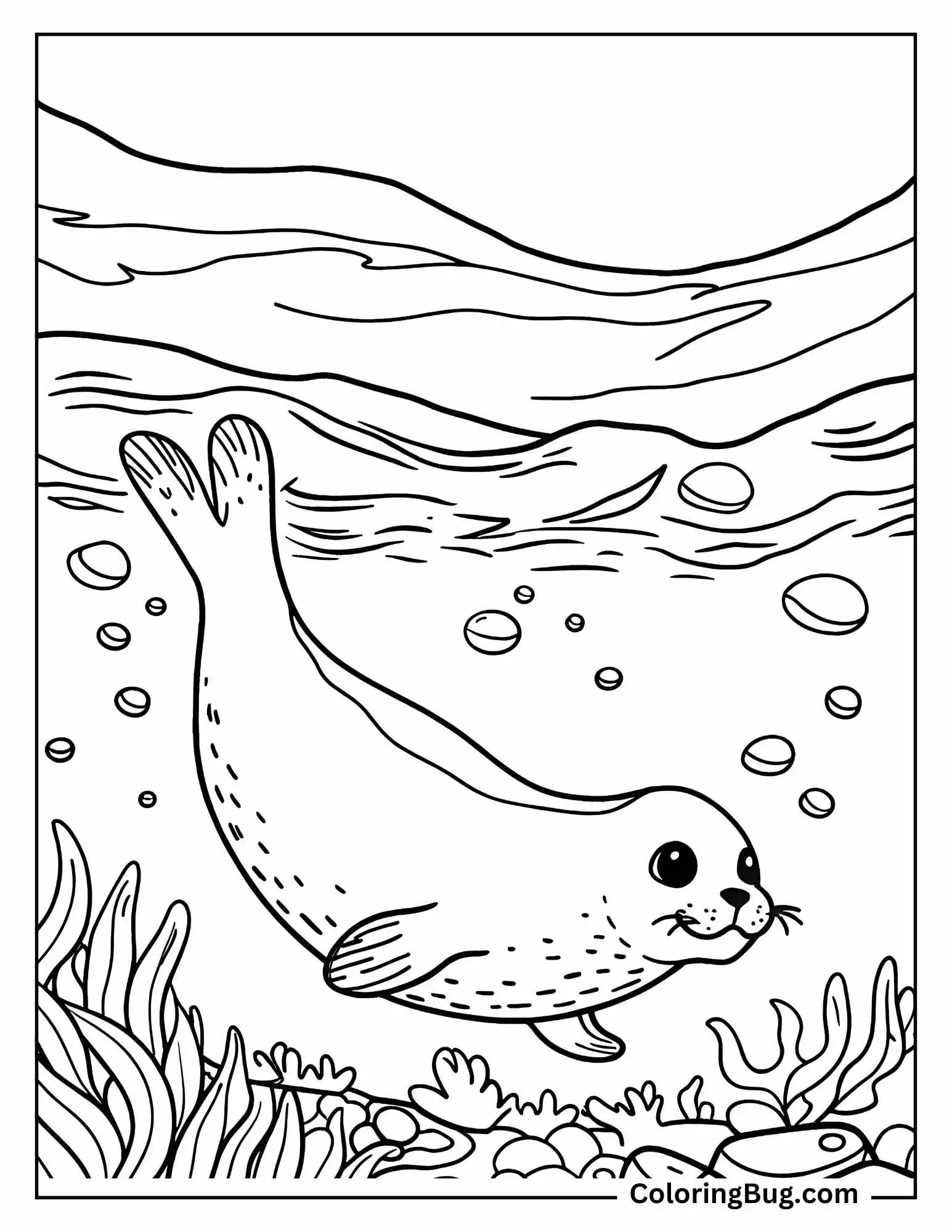 Seal Diving In The Water Coloring Sheet