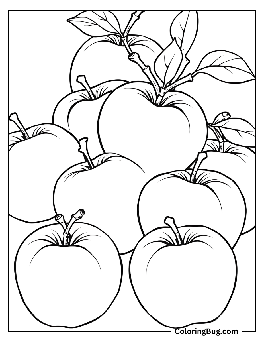 30 Apple Coloring Pages (Free Printable PDFs)