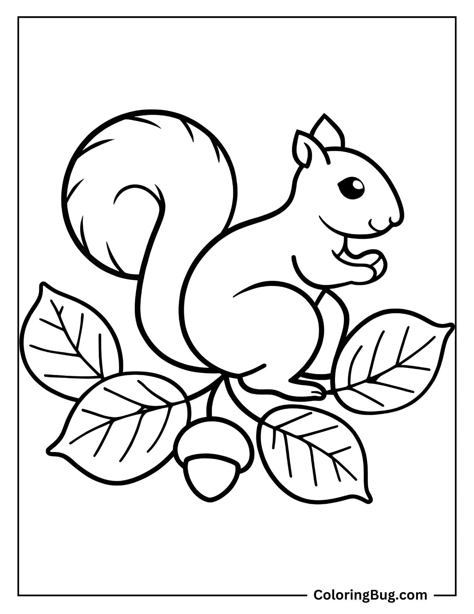 Squirrel With Acorn And Leaves Coloring Sheet