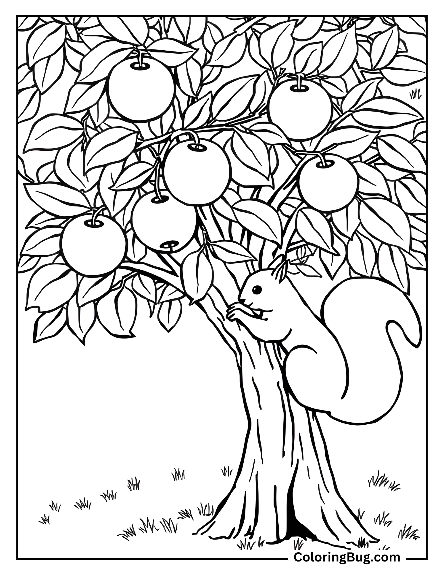 Squirrel on Apple Tree coloring Sheet