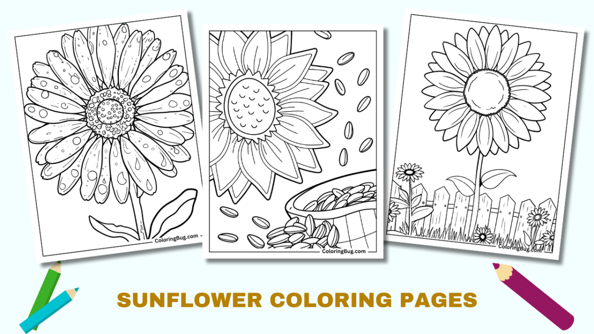 30 Sunflower Coloring Pages (Free Printable PDFs)