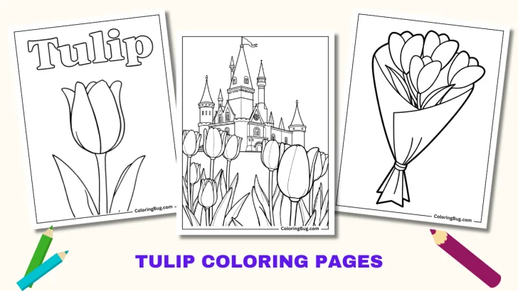 Tulip Coloring Pages