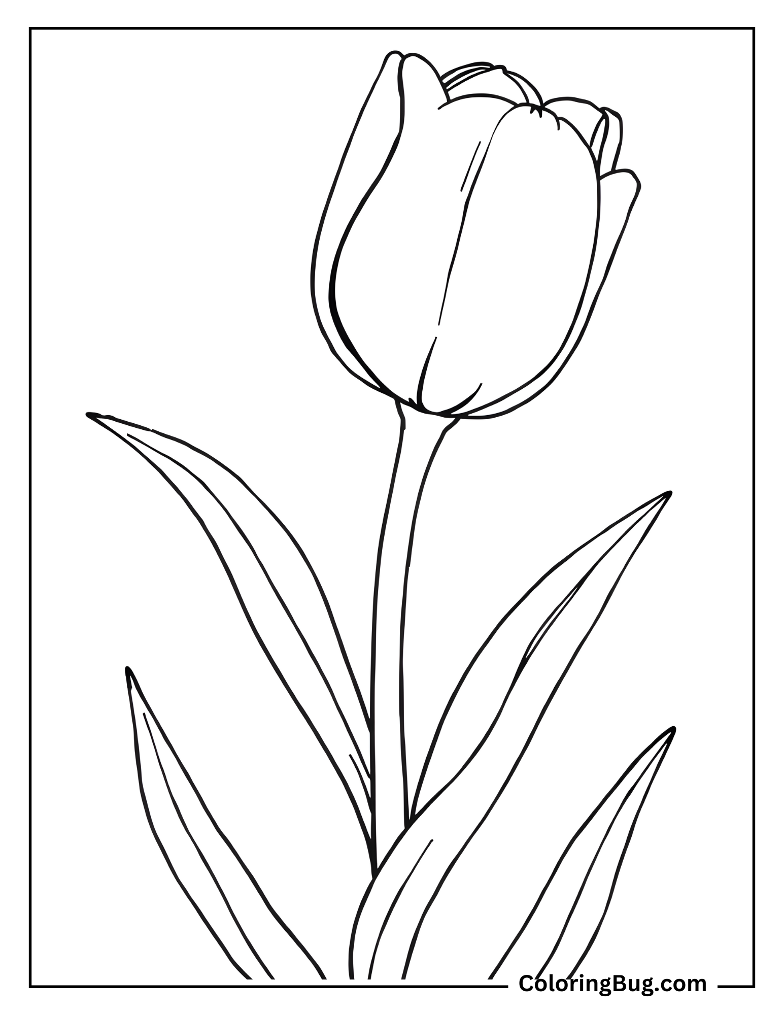 Tulip With its Leaves Coloring Sheet