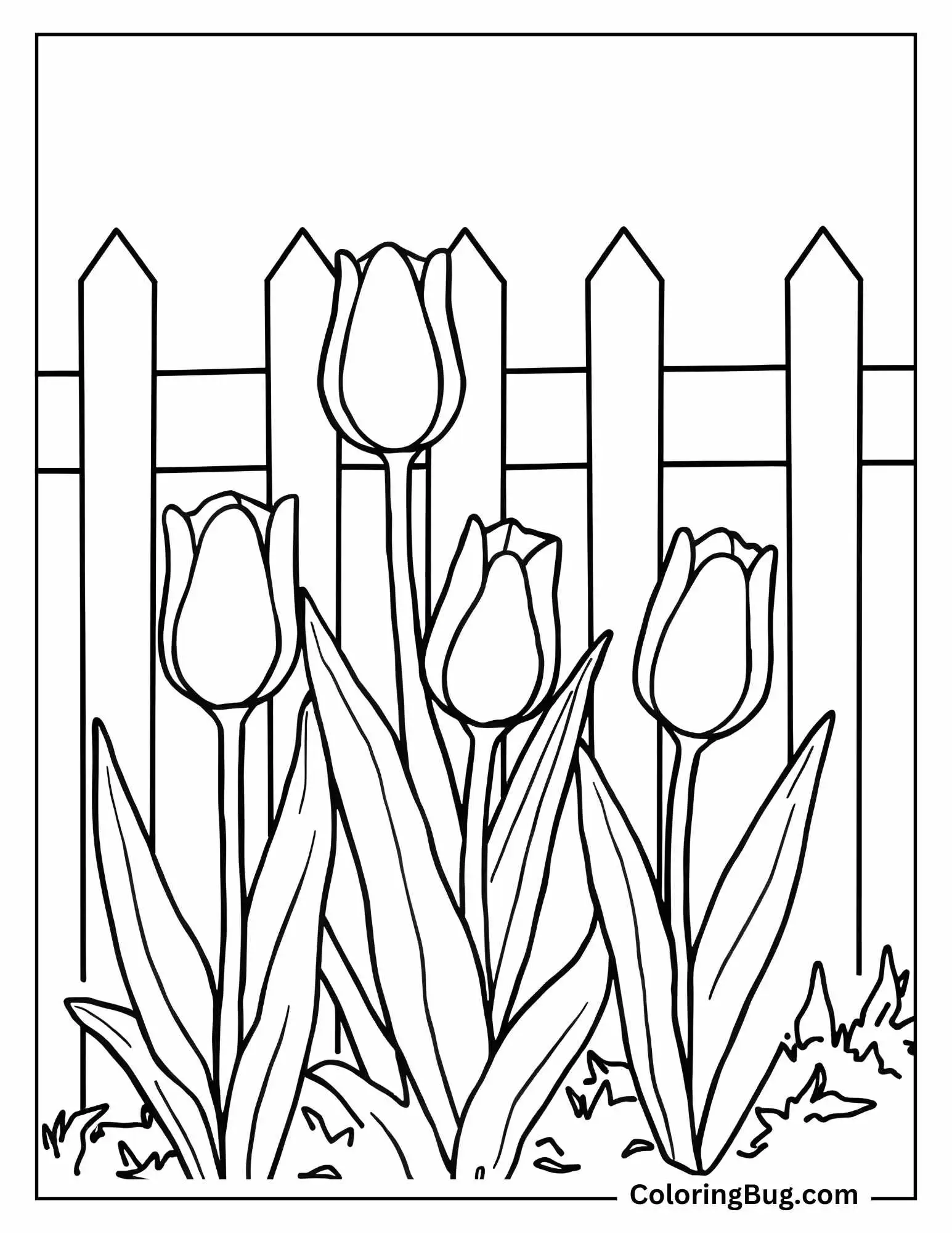 Tulips Growing Along The Edge of a Fence Coloring Sheet