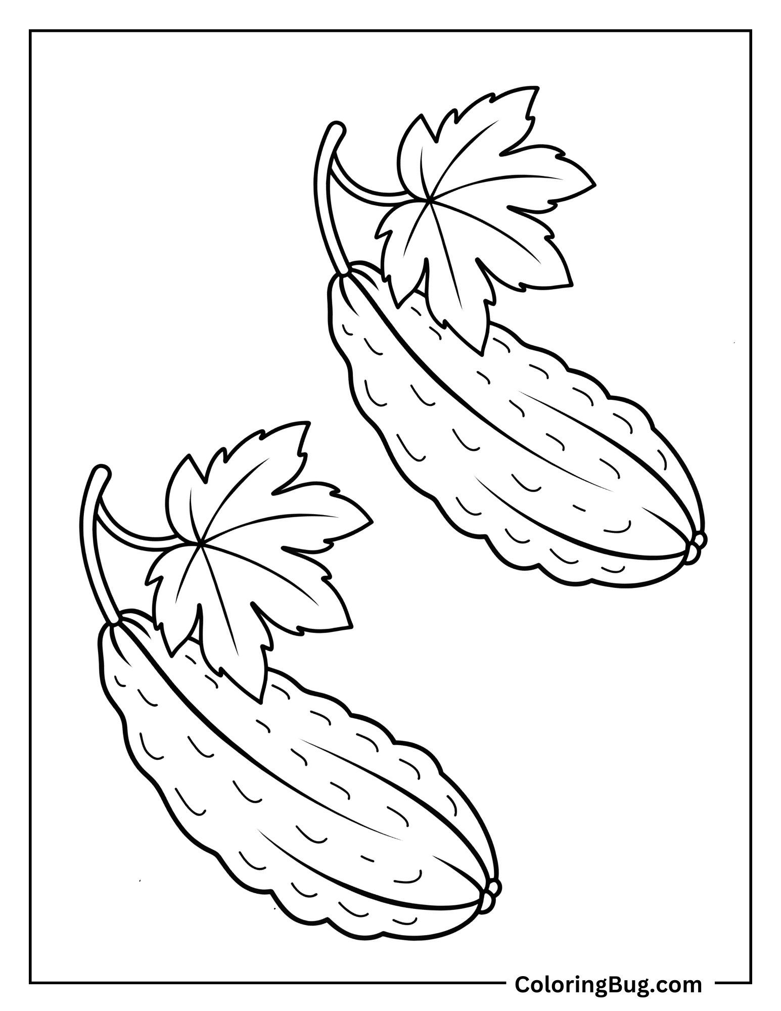 Two Bitter gourd Coloring Sheet
