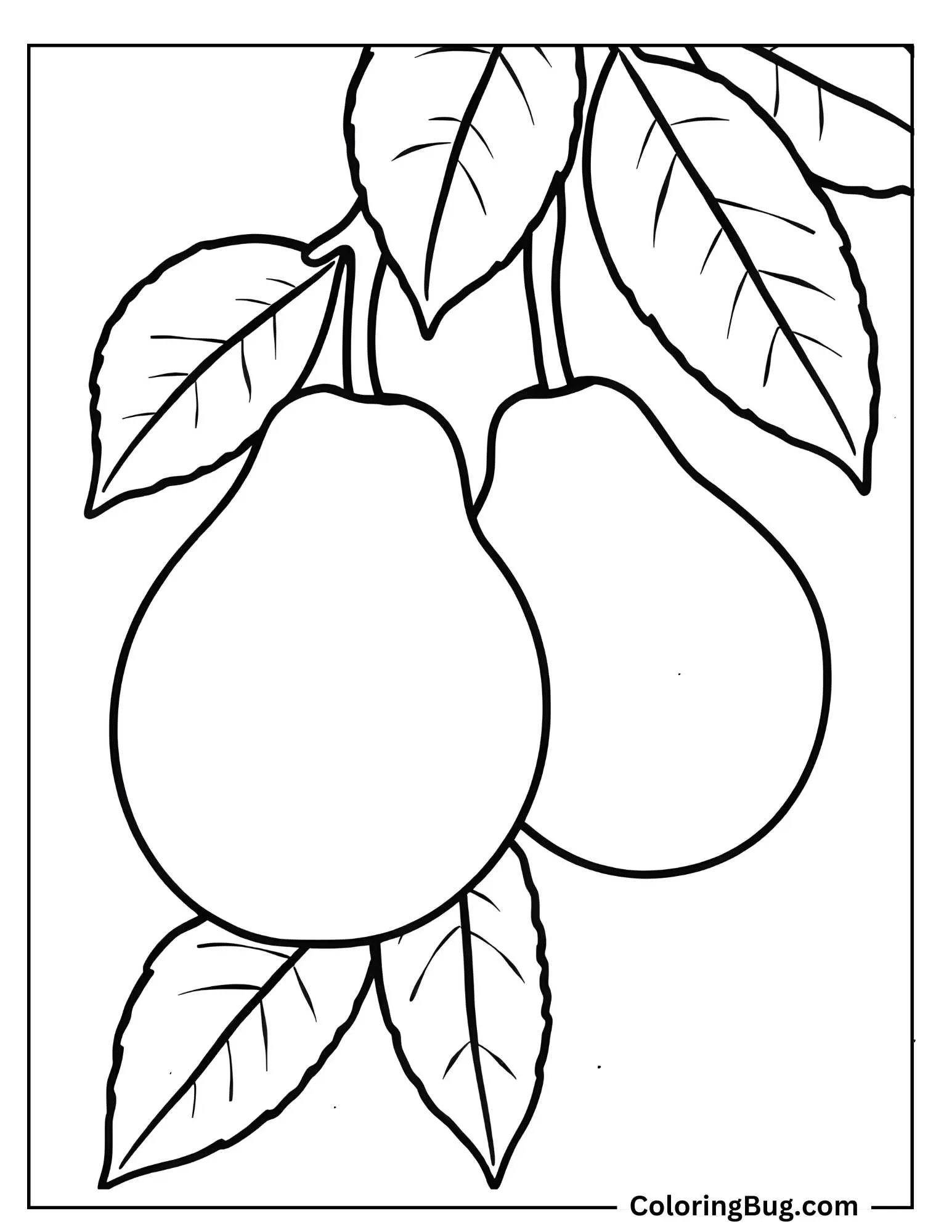 Two Guavas On Tree Branch Coloring Sheet