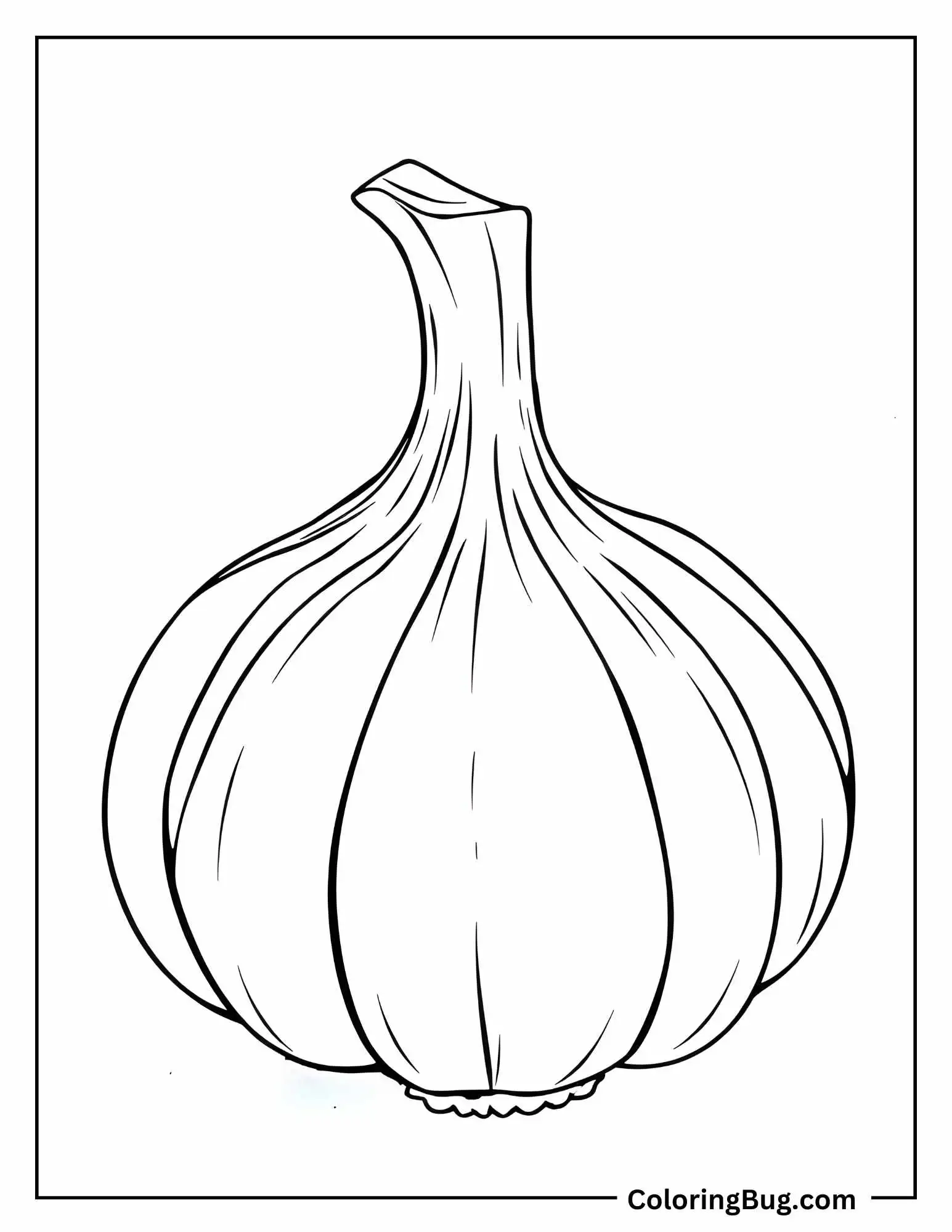 Whole Garlic Bulb With Papery Skin Coloring Sheet