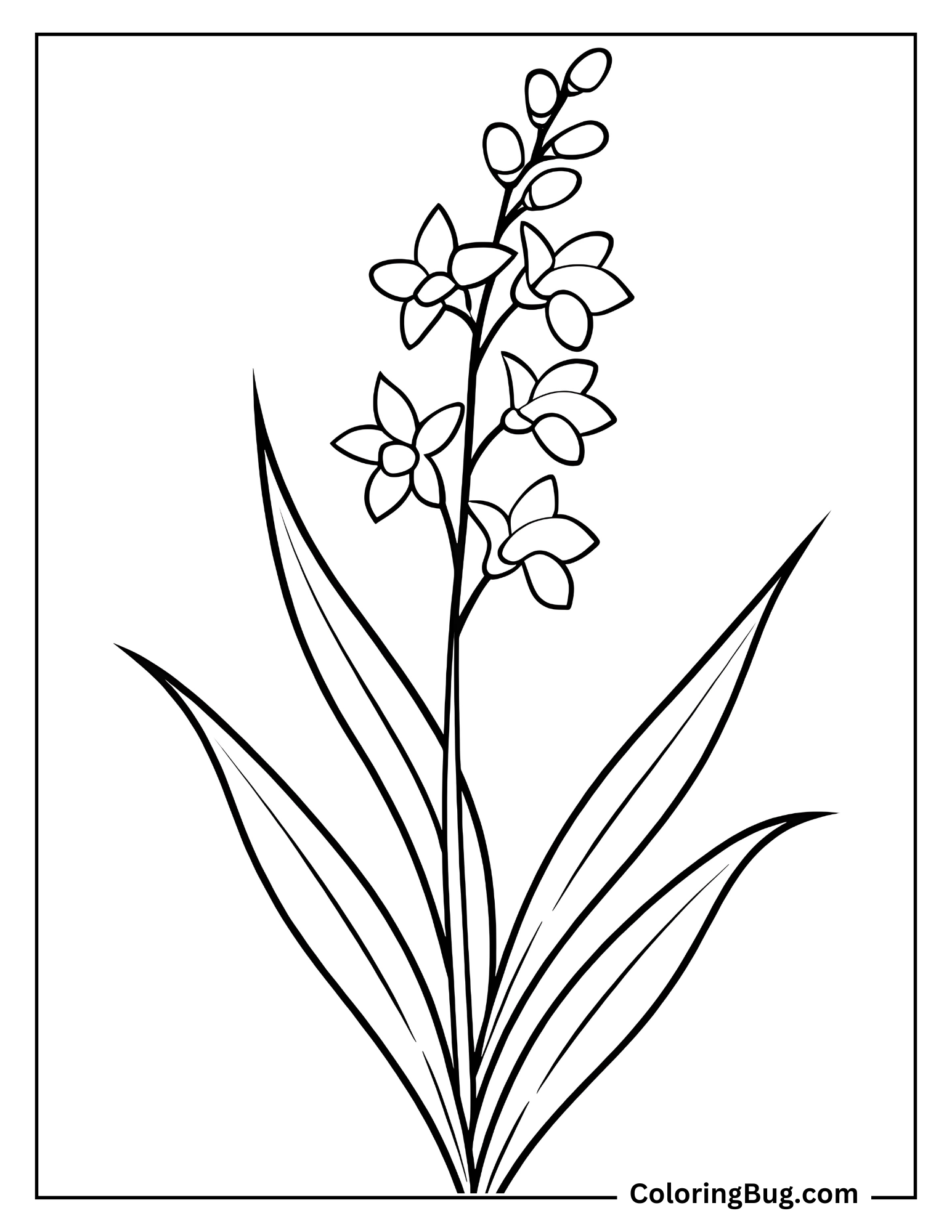 Wild Flowers With Its Leaves Coloring Sheet