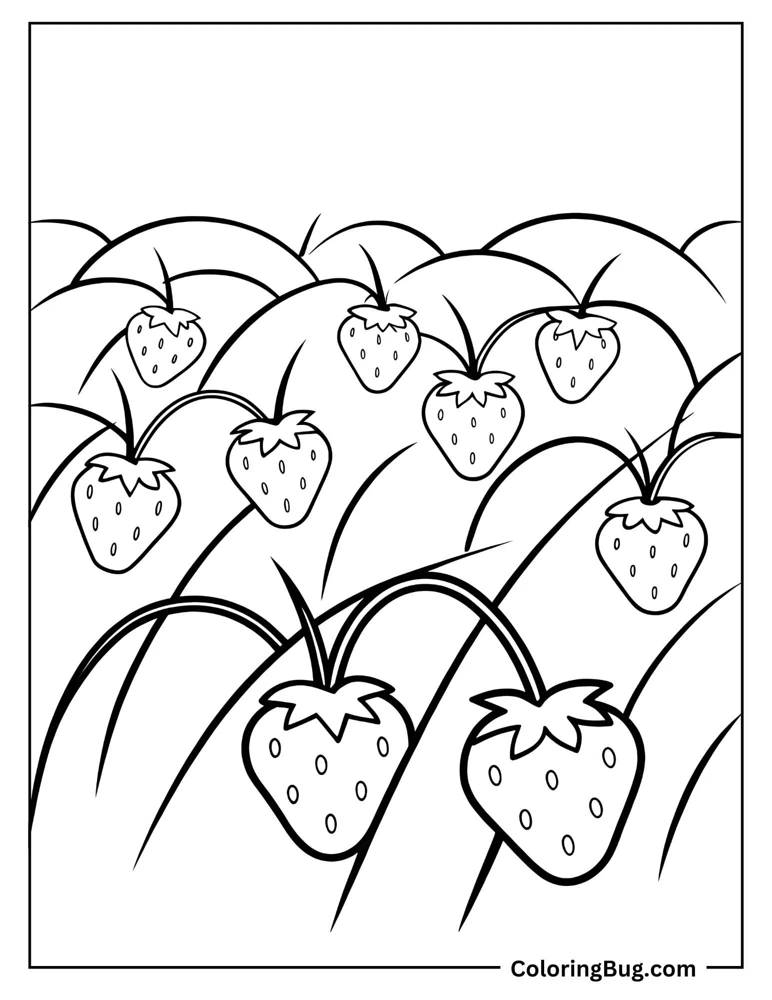 30 Strawberry Coloring Pages (Free Printable PDFs)