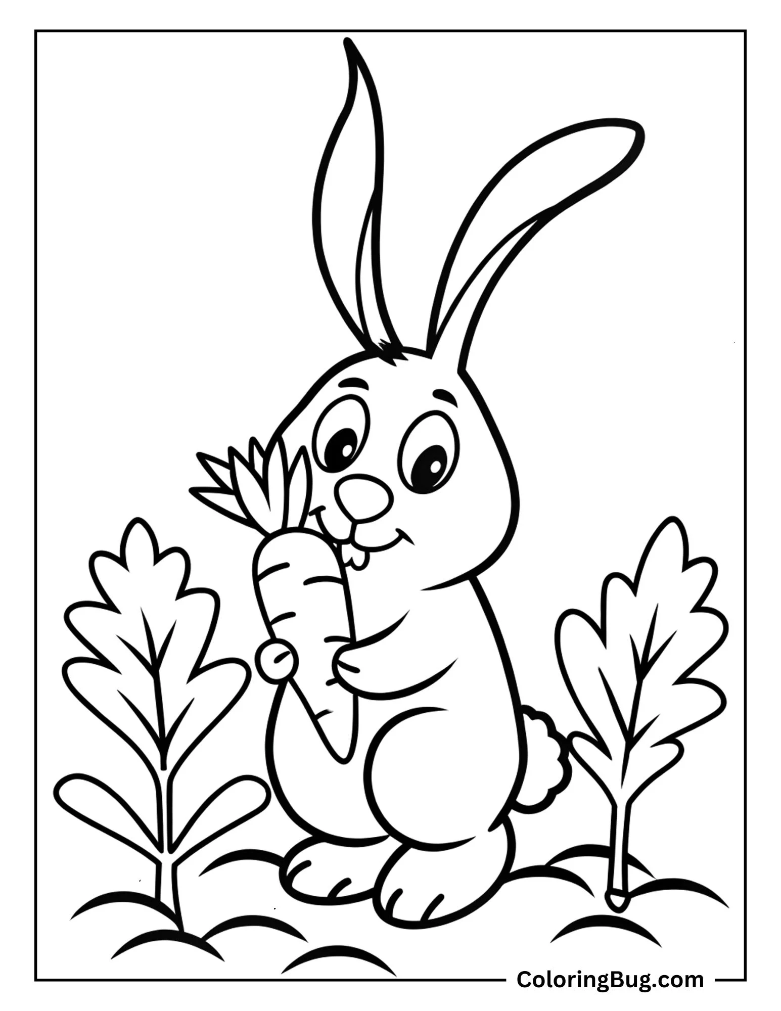 Bunny Holding Fresh Carrot Coloring Sheet