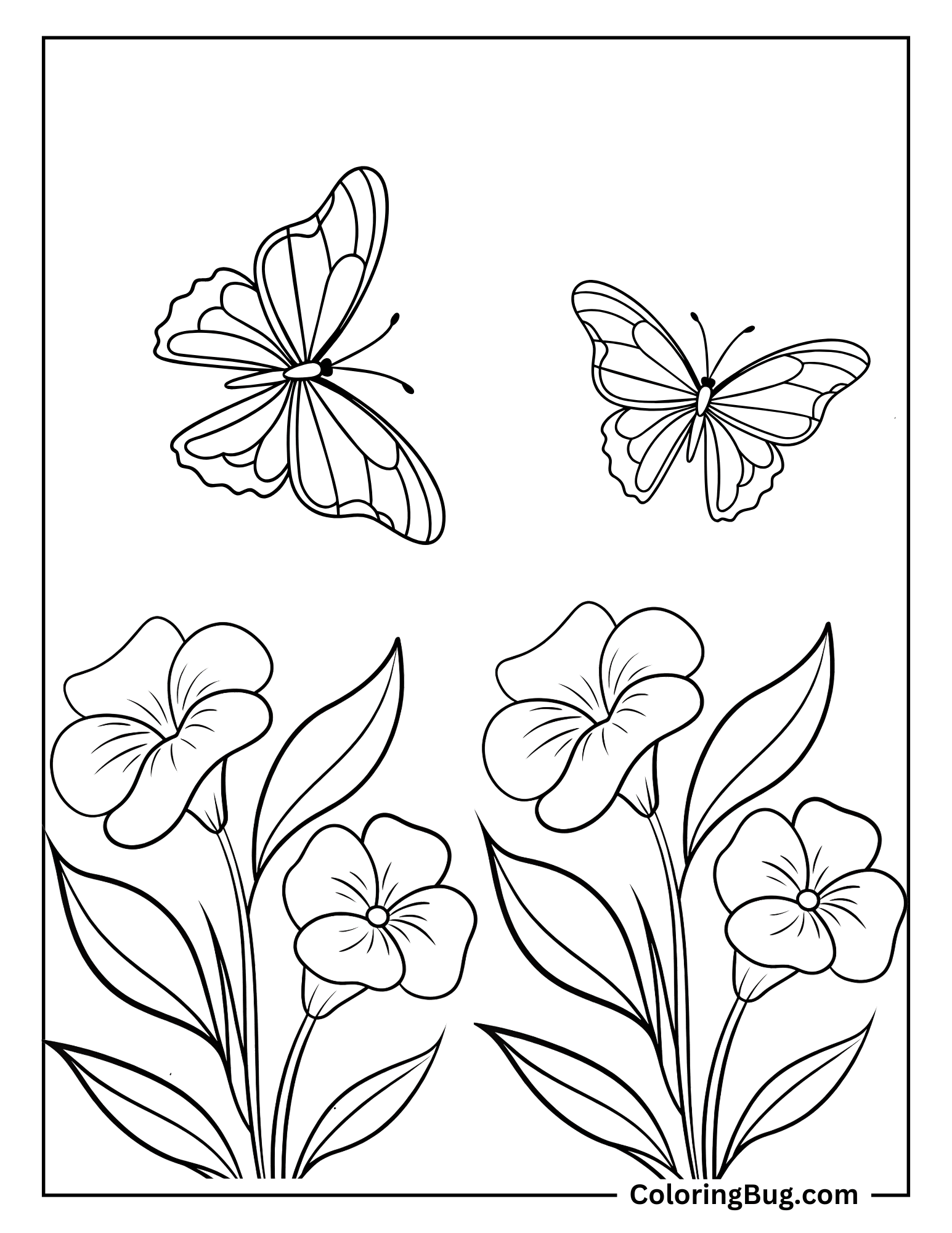 Butterflies Over Flowers Coloring Sheet