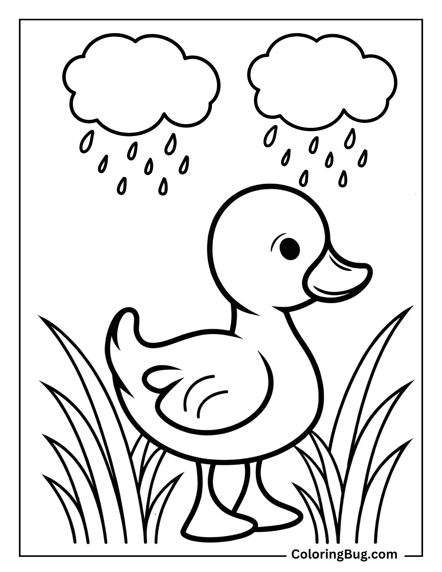 Cute Duckling Waddling Through The Grass In Spring Rain Coloring Sheet