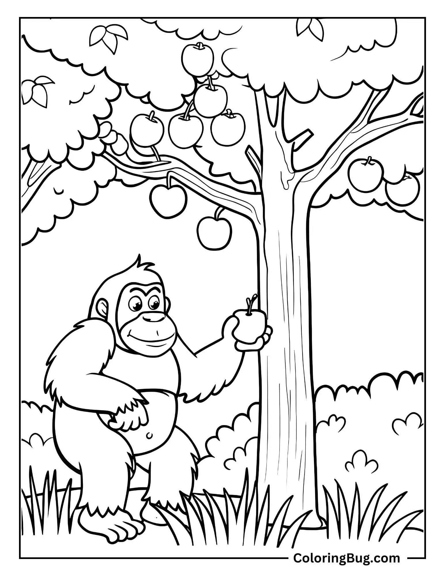 Gorilla Picking Fruit From a Tree Coloring Sheet