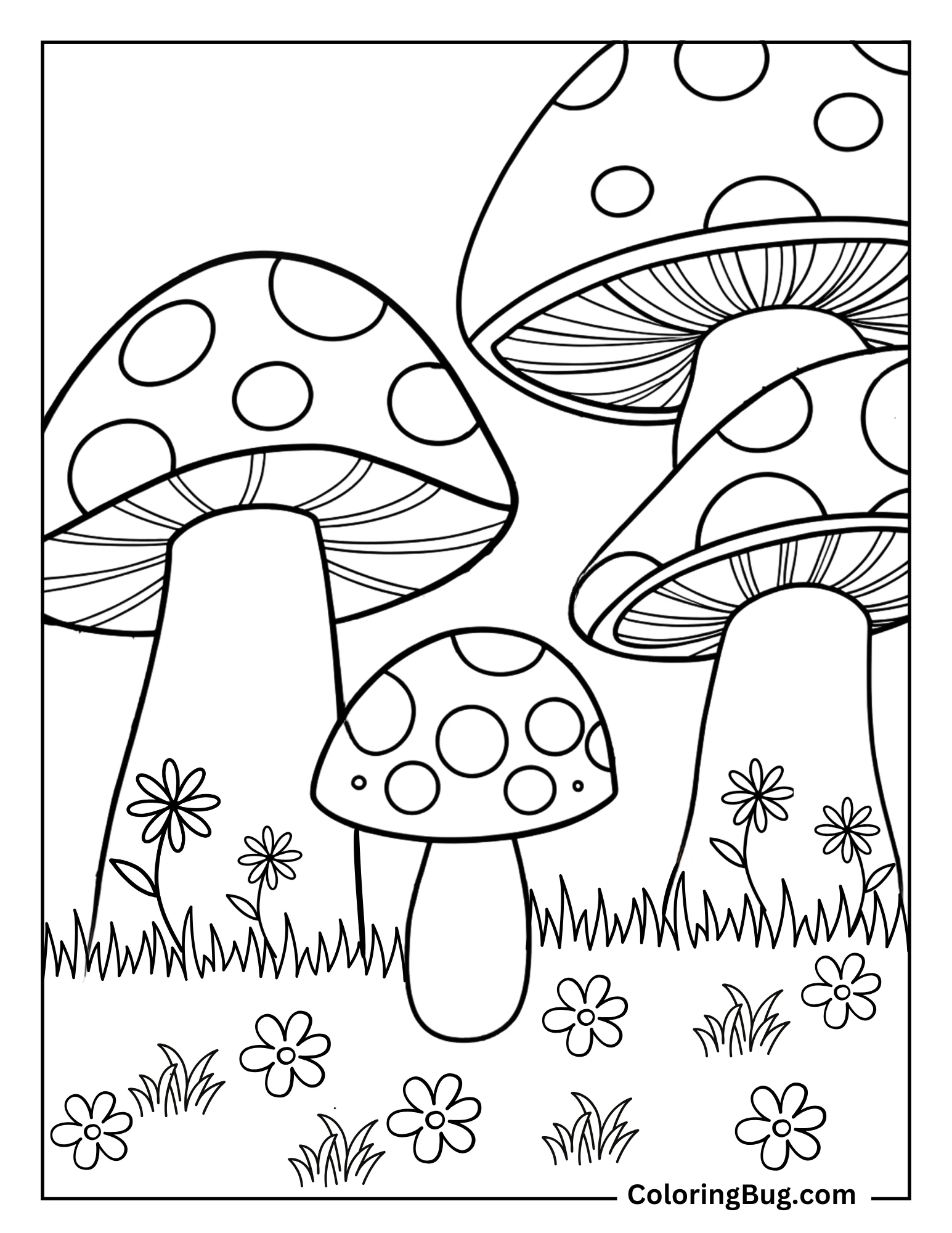 Group Of Colorful Springtime Mushrooms Coloring Sheet