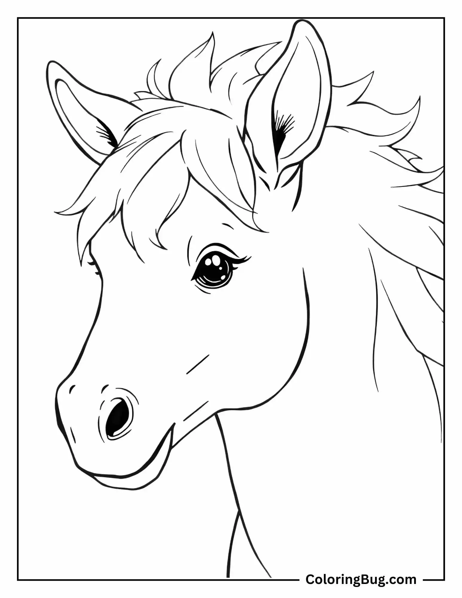 Horse Close Up Coloring Sheet