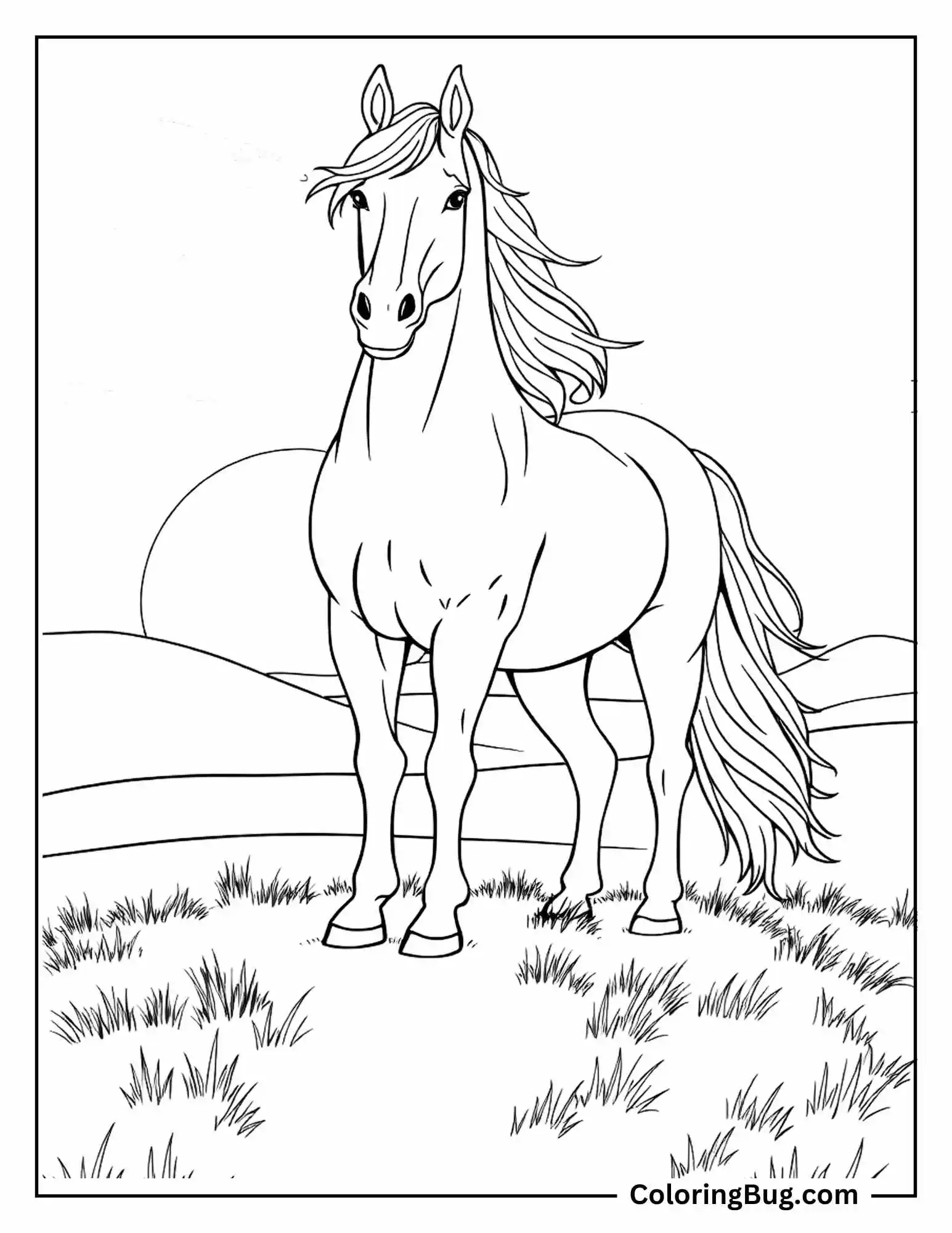 Horse Standing on Hill Top With Sunset Coloring Sheet