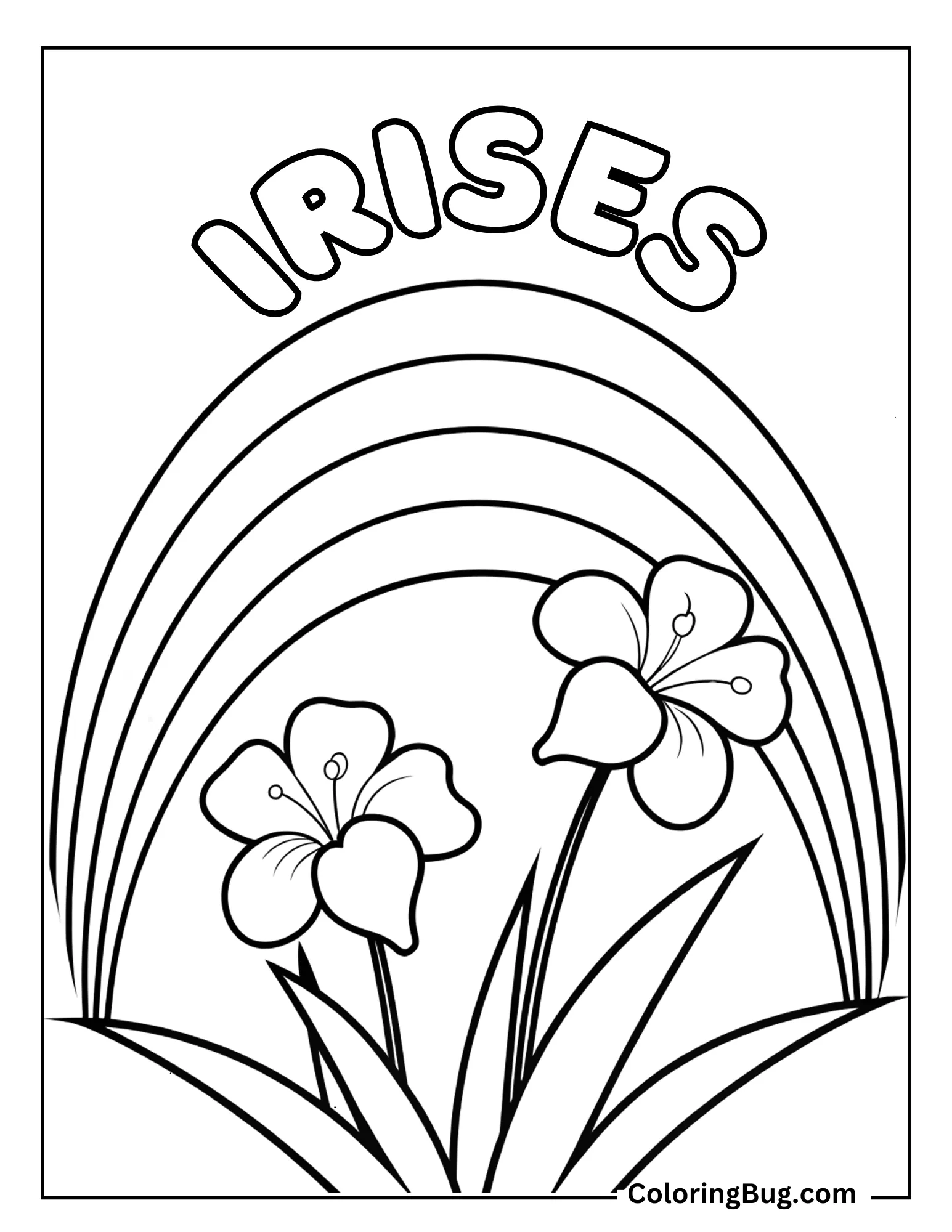 Irises With Rainbow Coloring sheet
