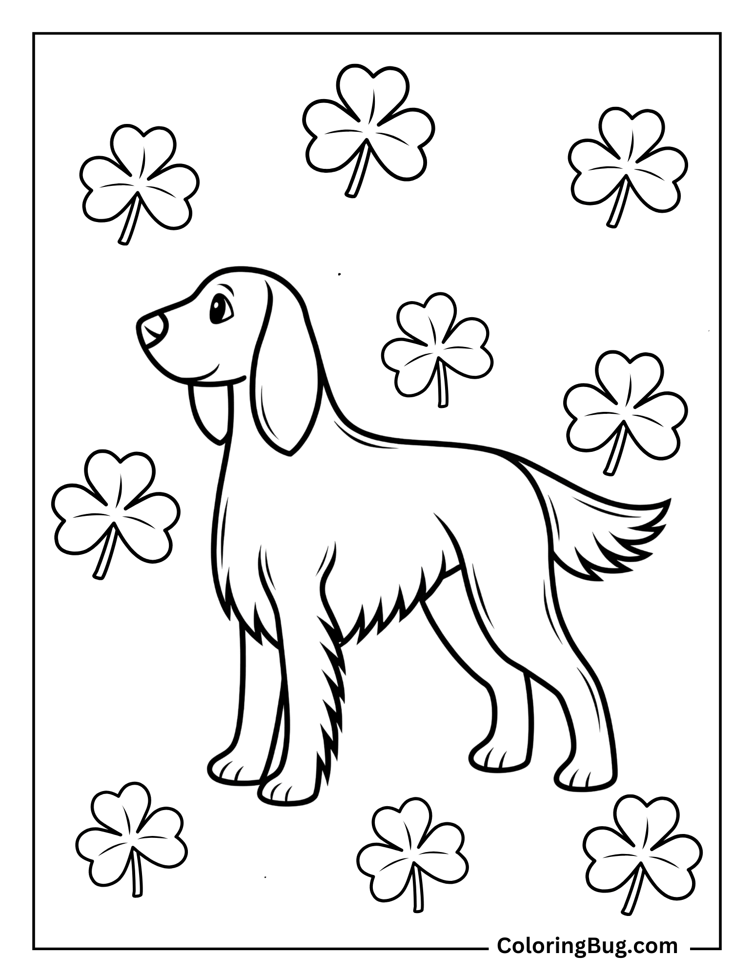 Irish Setter Surrounded By Shamrocks Coloring Sheet