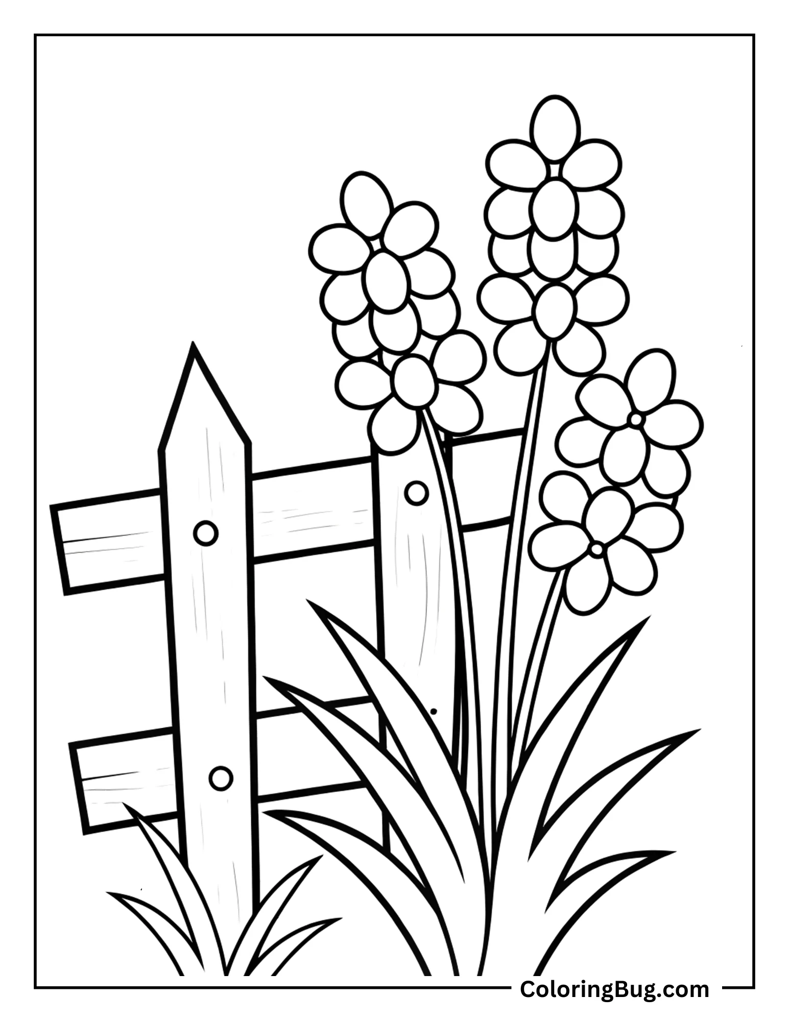 Lilacs Growing Near a Wooden Fence Coloring sheet