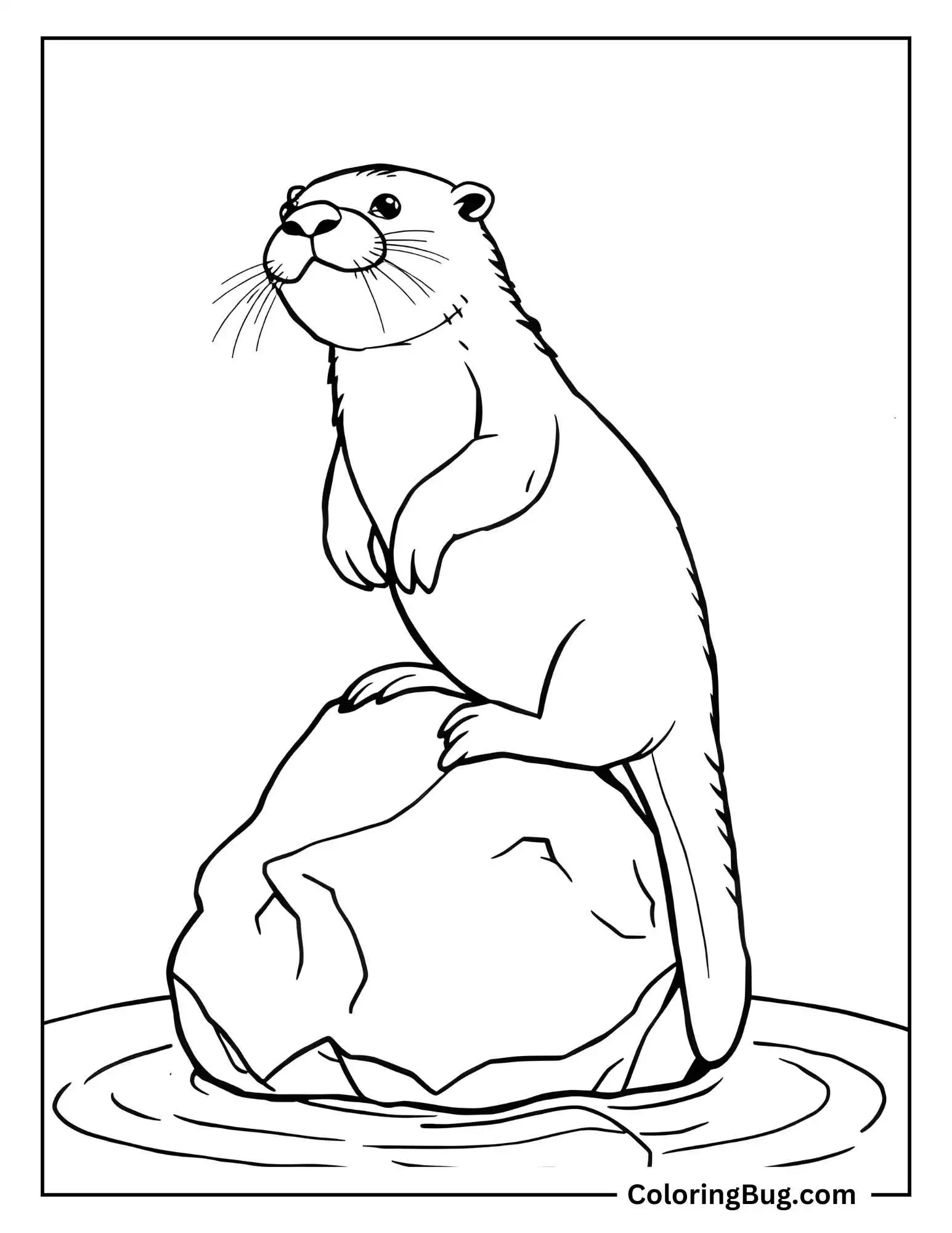 Otter Balancing On Rock Coloring Sheet