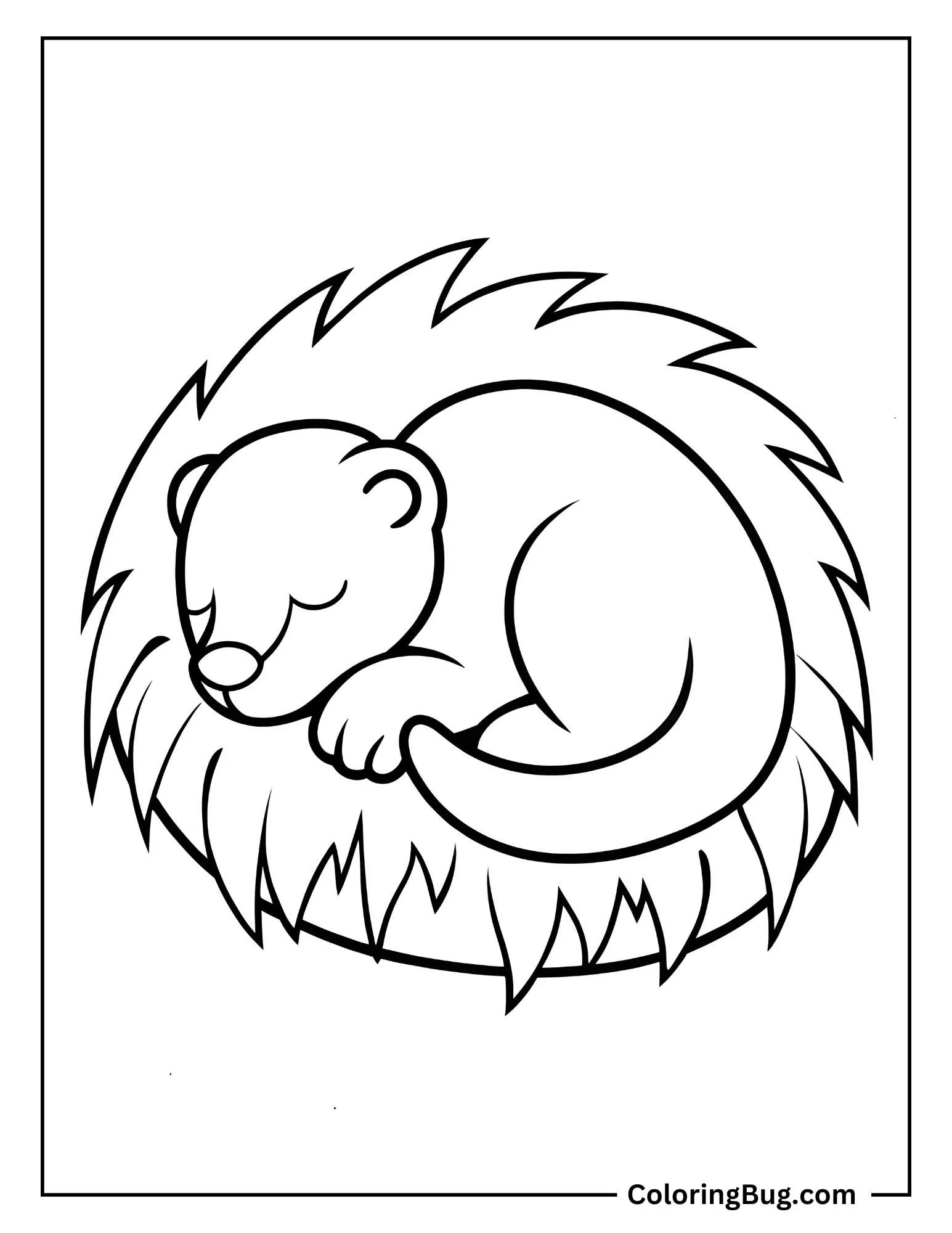 Otter Curling Up In a Den To Sleep Coloring Sheet