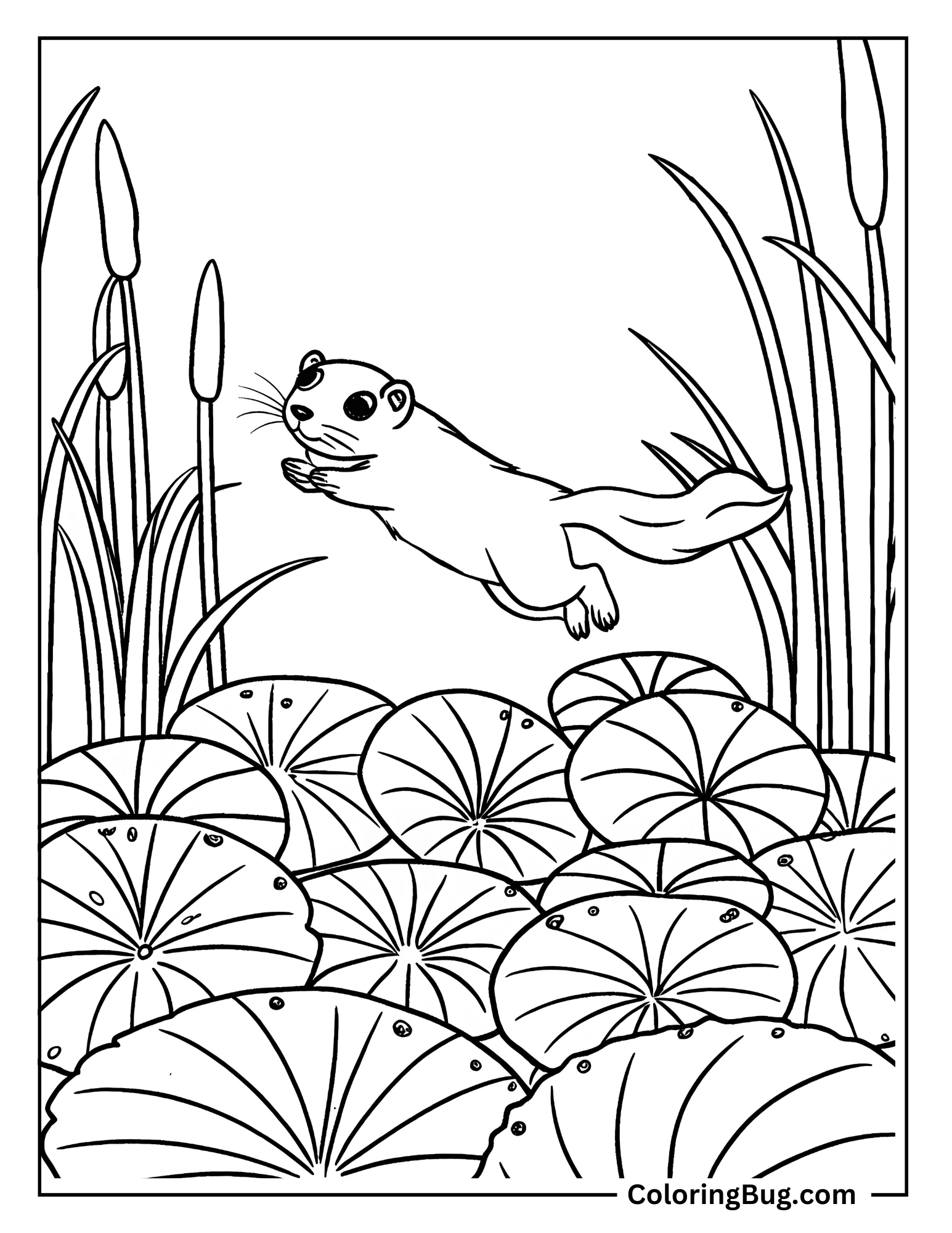 Otter Jumping From One Lily Pad To Another Coloring Sheet
